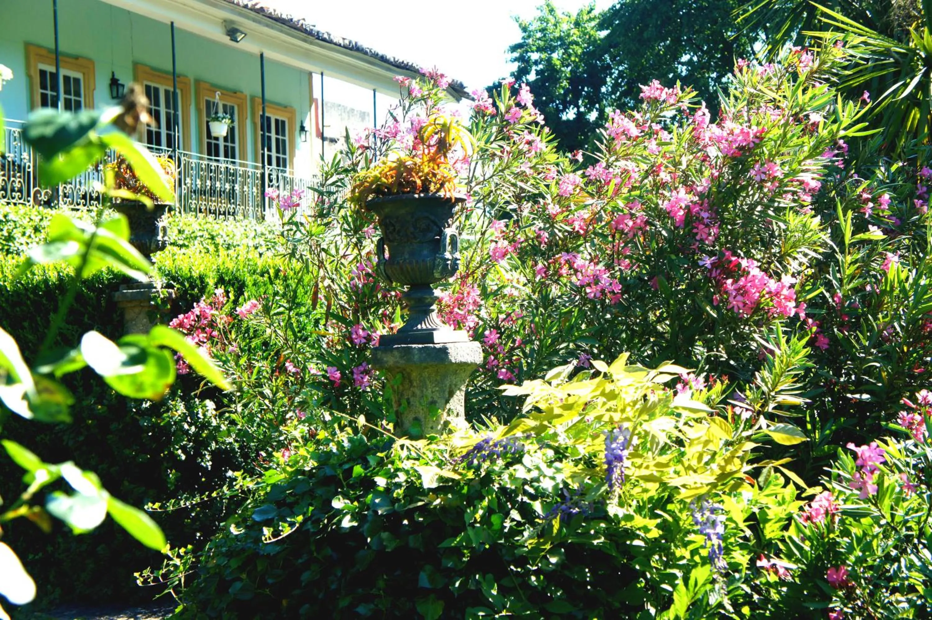 Garden in Casa de Sezim