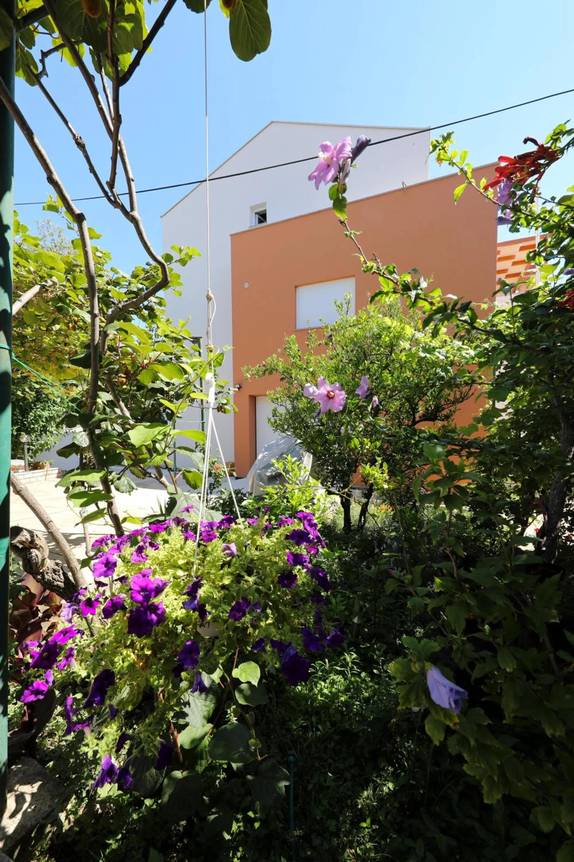 Property building in Apartments Ivanov
