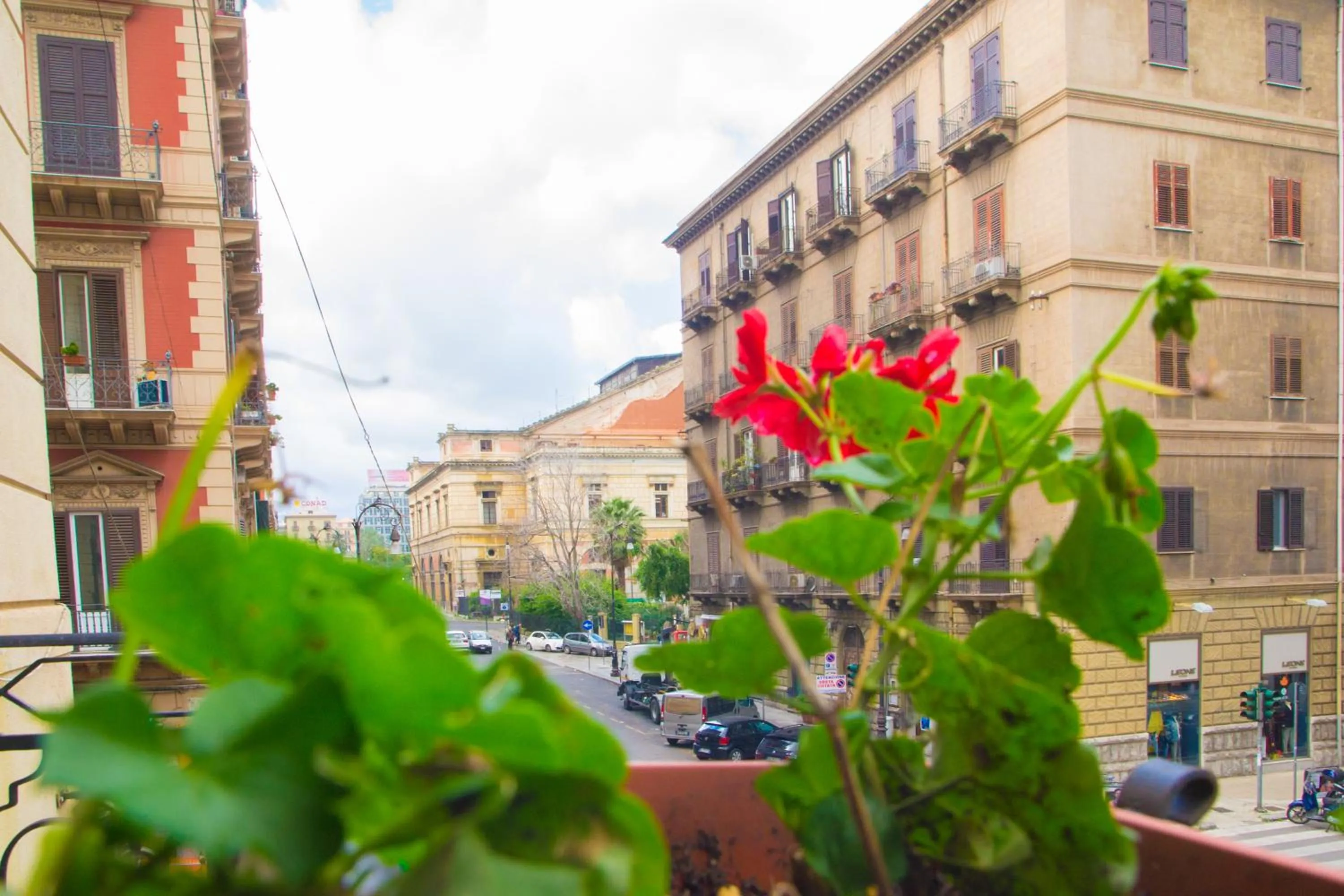 Property building in Amarillo