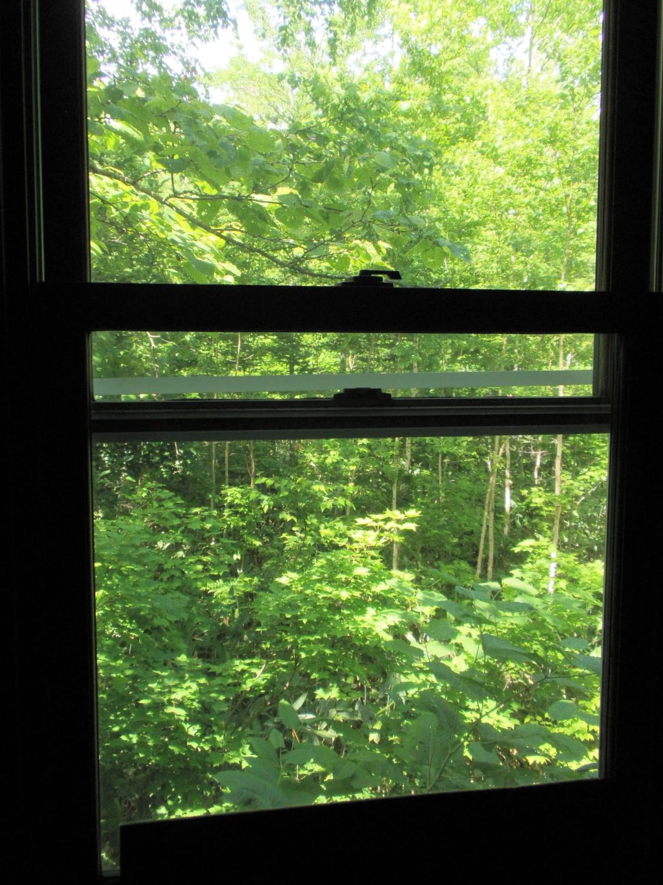 View (from property/room) in Bistare Kana