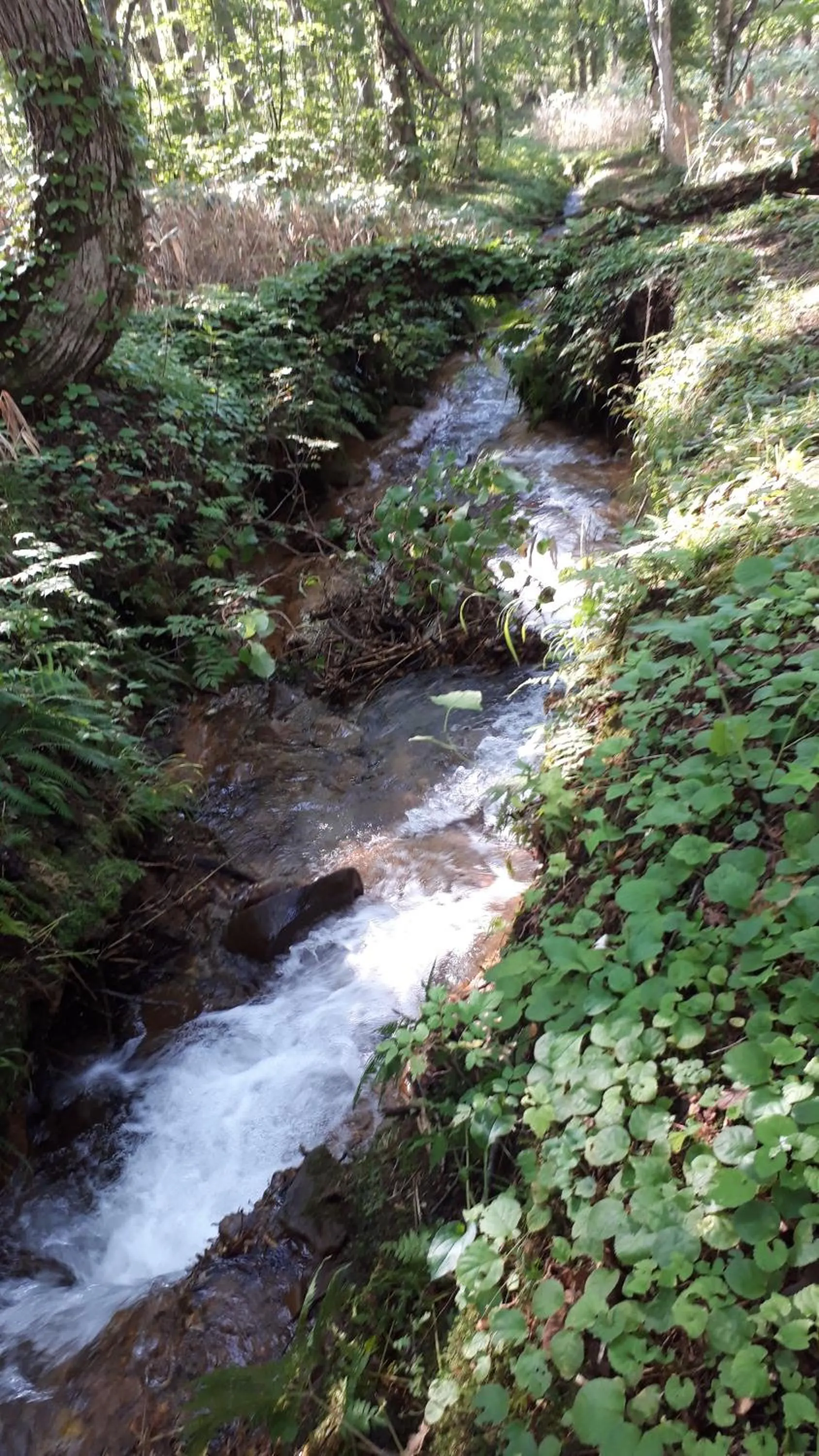 Nearby landmark in Bistare Kana