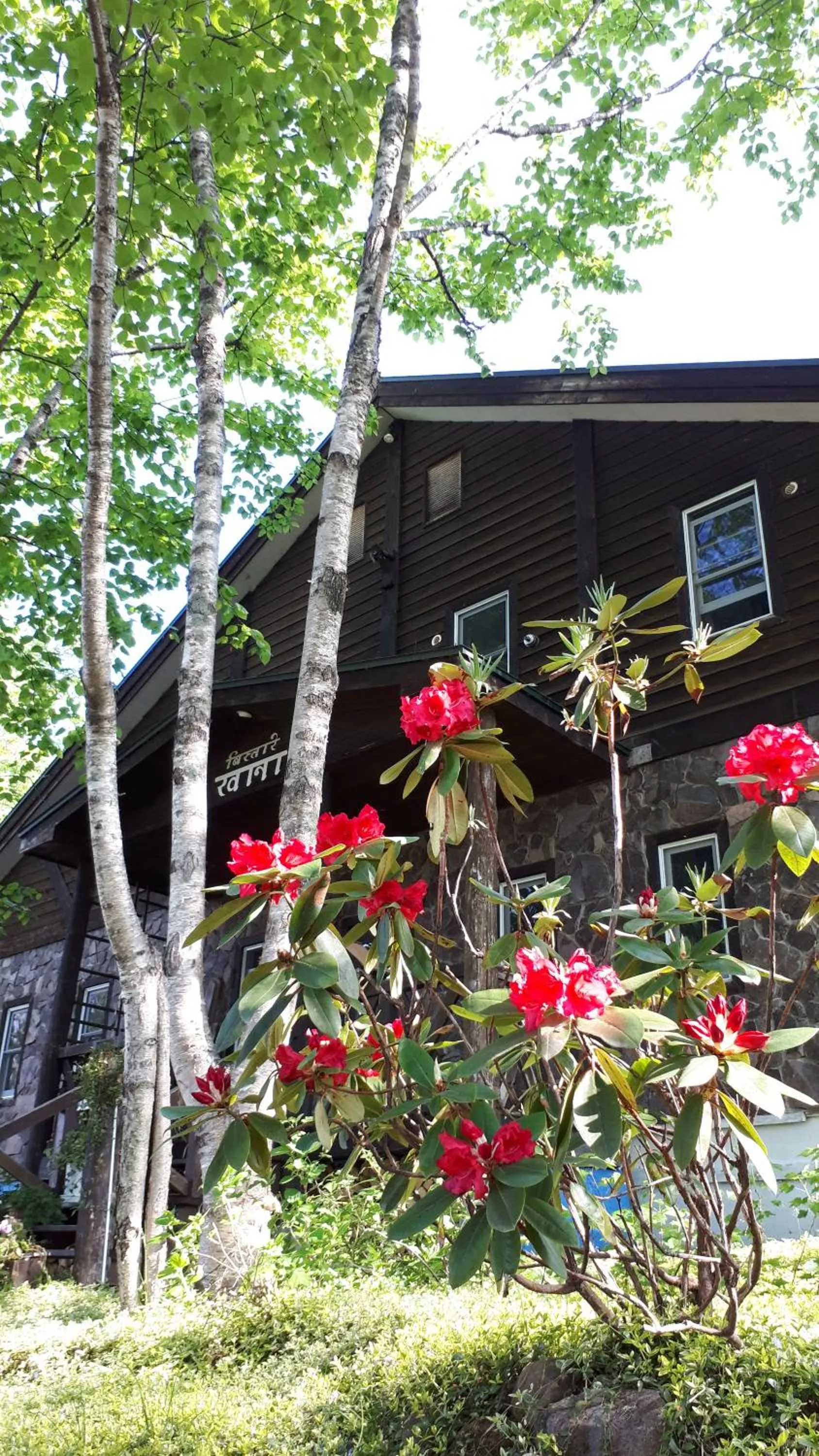 Property building in Bistare Kana