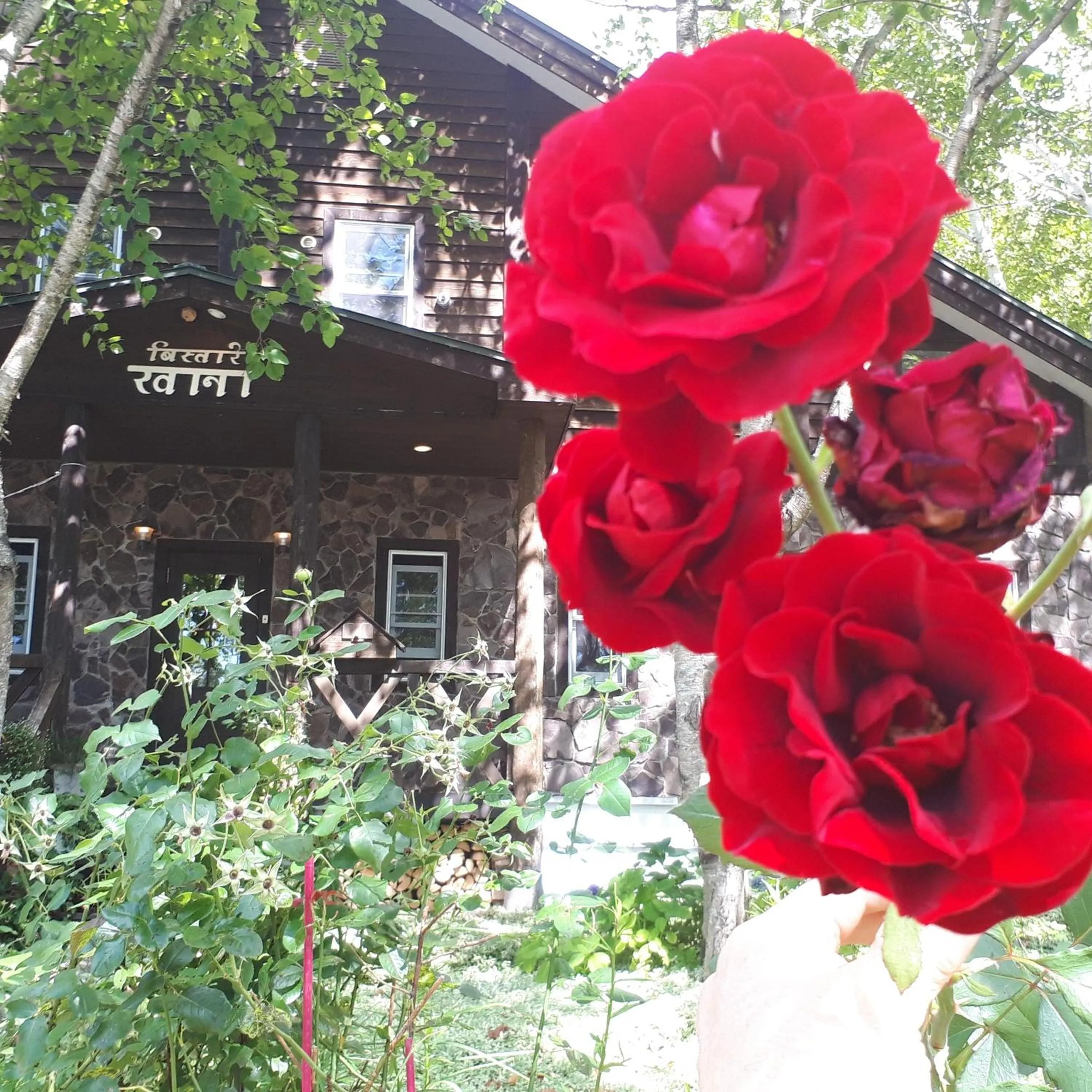 Property building in Bistare Kana