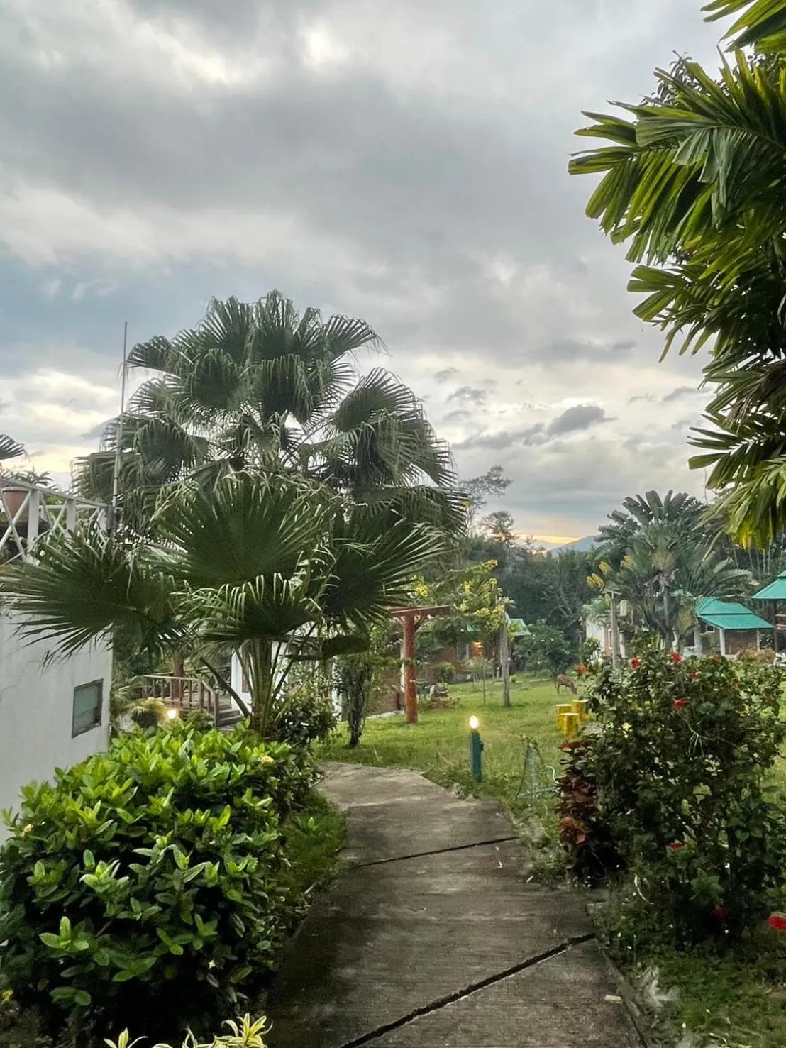 Pai Love & Baan Chonphao Resort