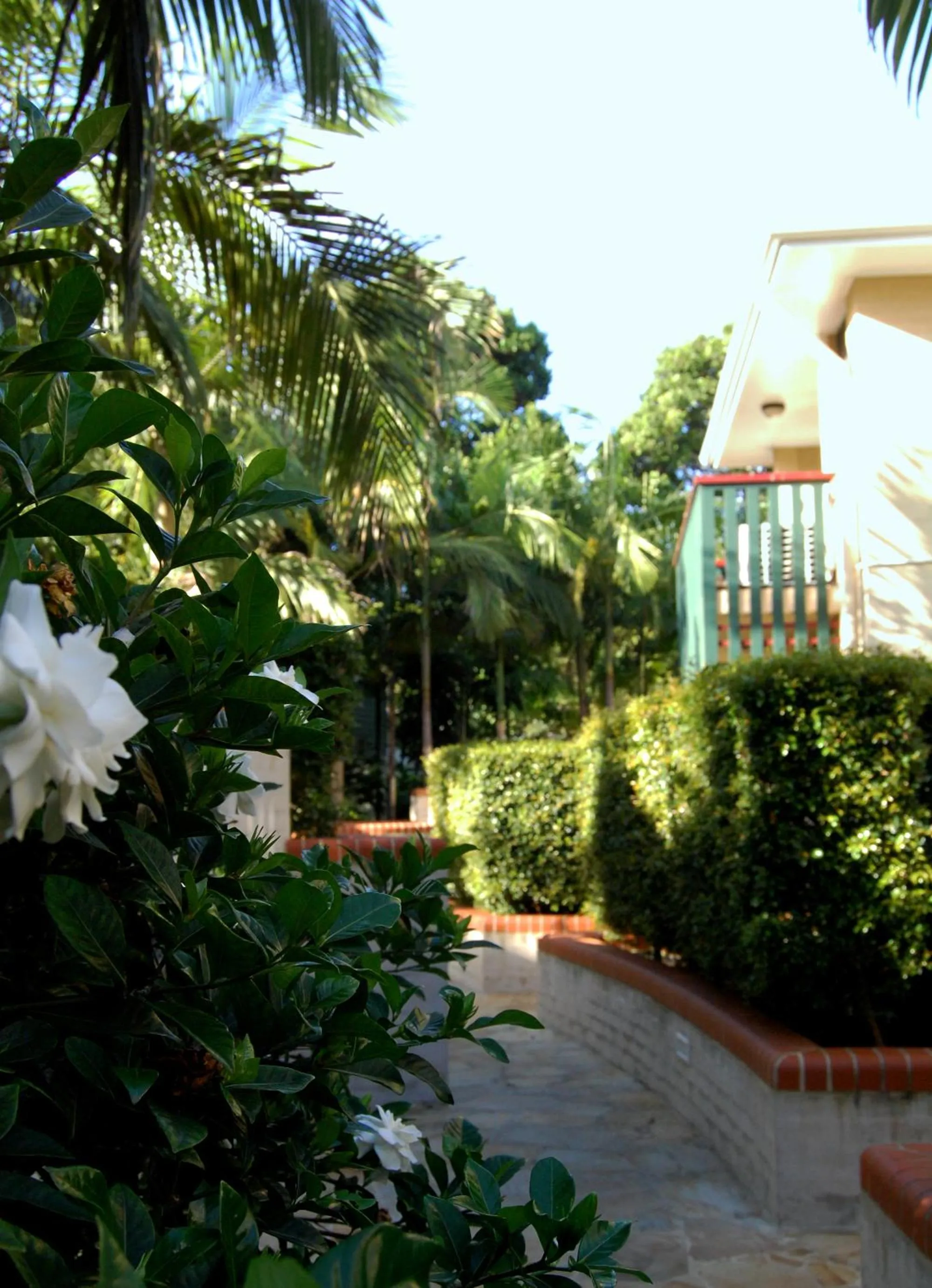 Garden in The Crest Byron Bay