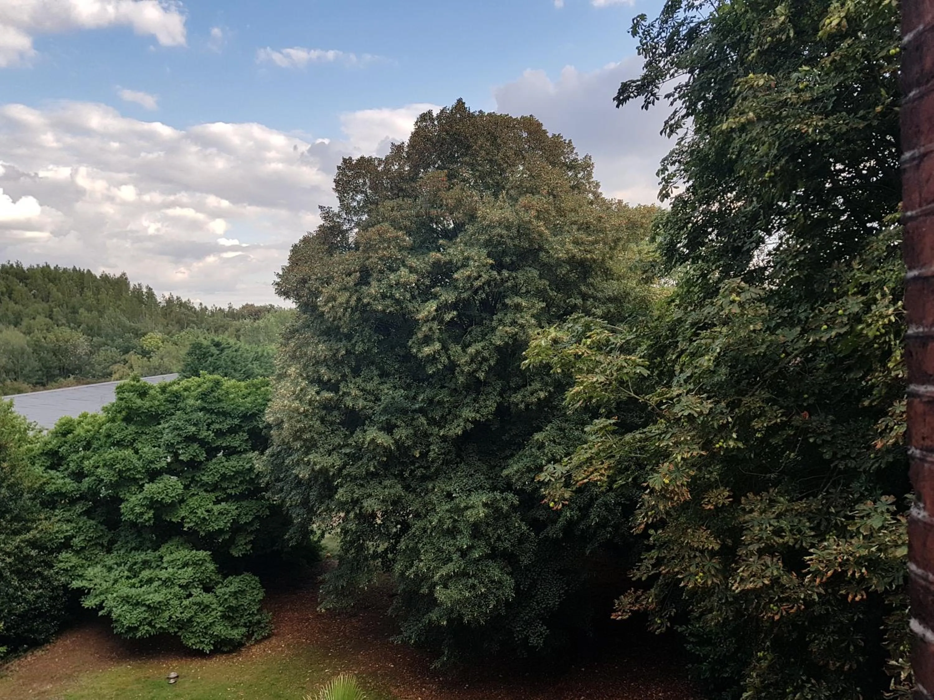 Garden view in Château Lambert Moulinsart Hotel, shuttle airport, long term parking, snooker, large terrasse, dinner, breakfast