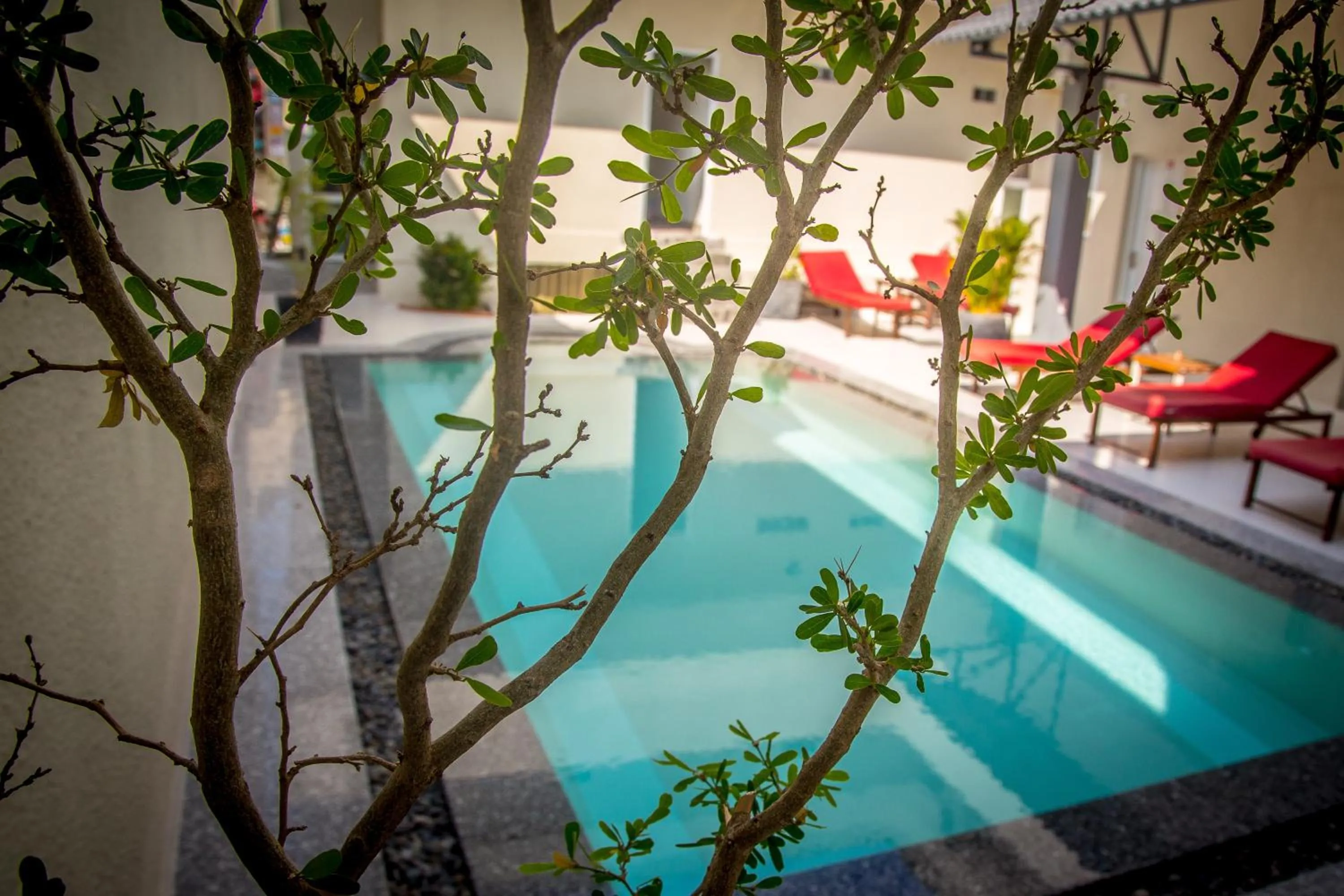 Pool view in Mui Ne Hills Budget Hotel