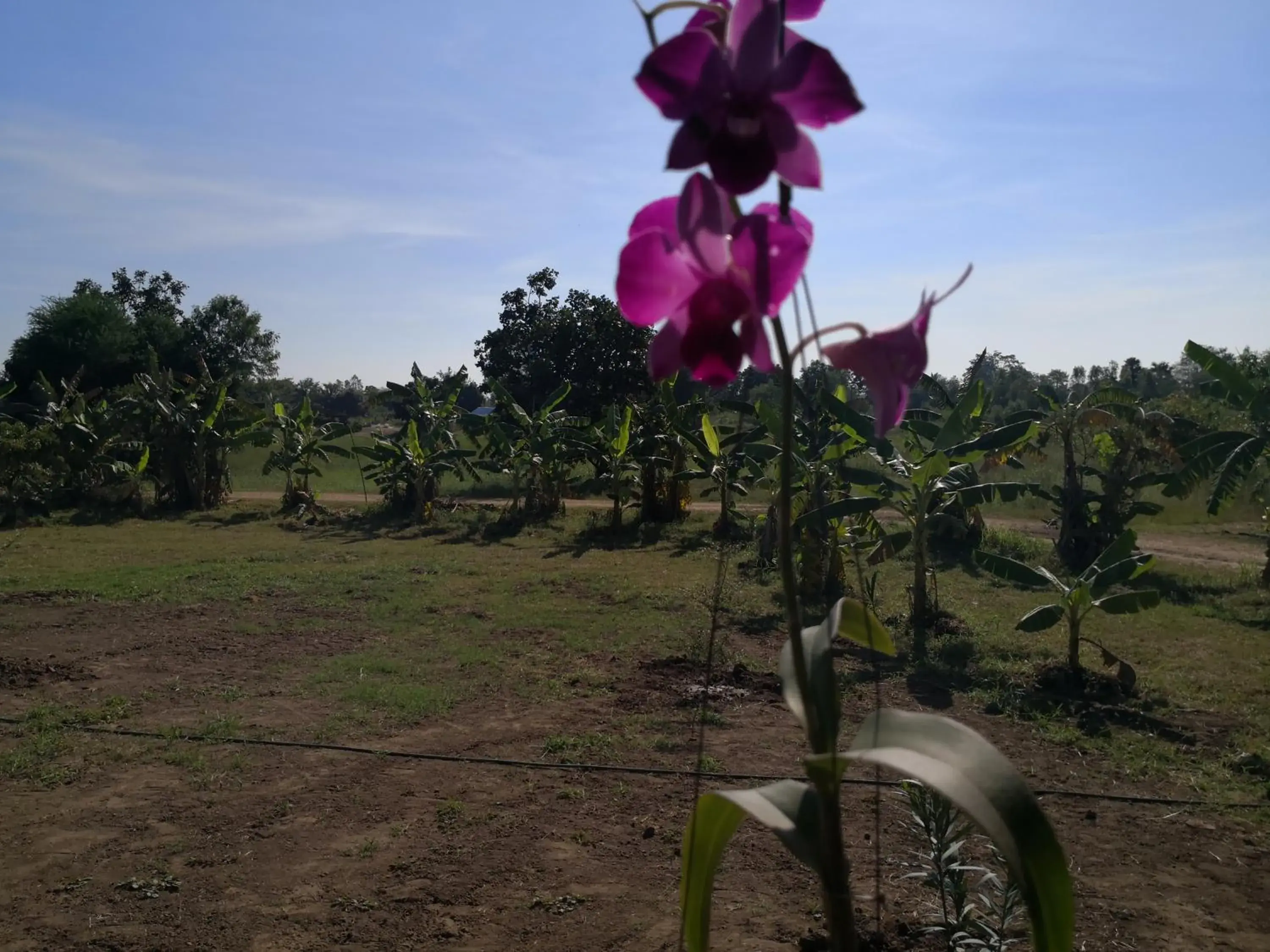 Bungalow with Patio in Pumaka Resort Bungalow with Patio in Pumaka Resort