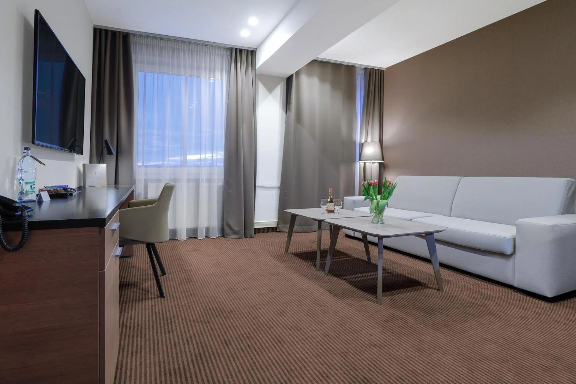 Living room in Hotel Karpatia