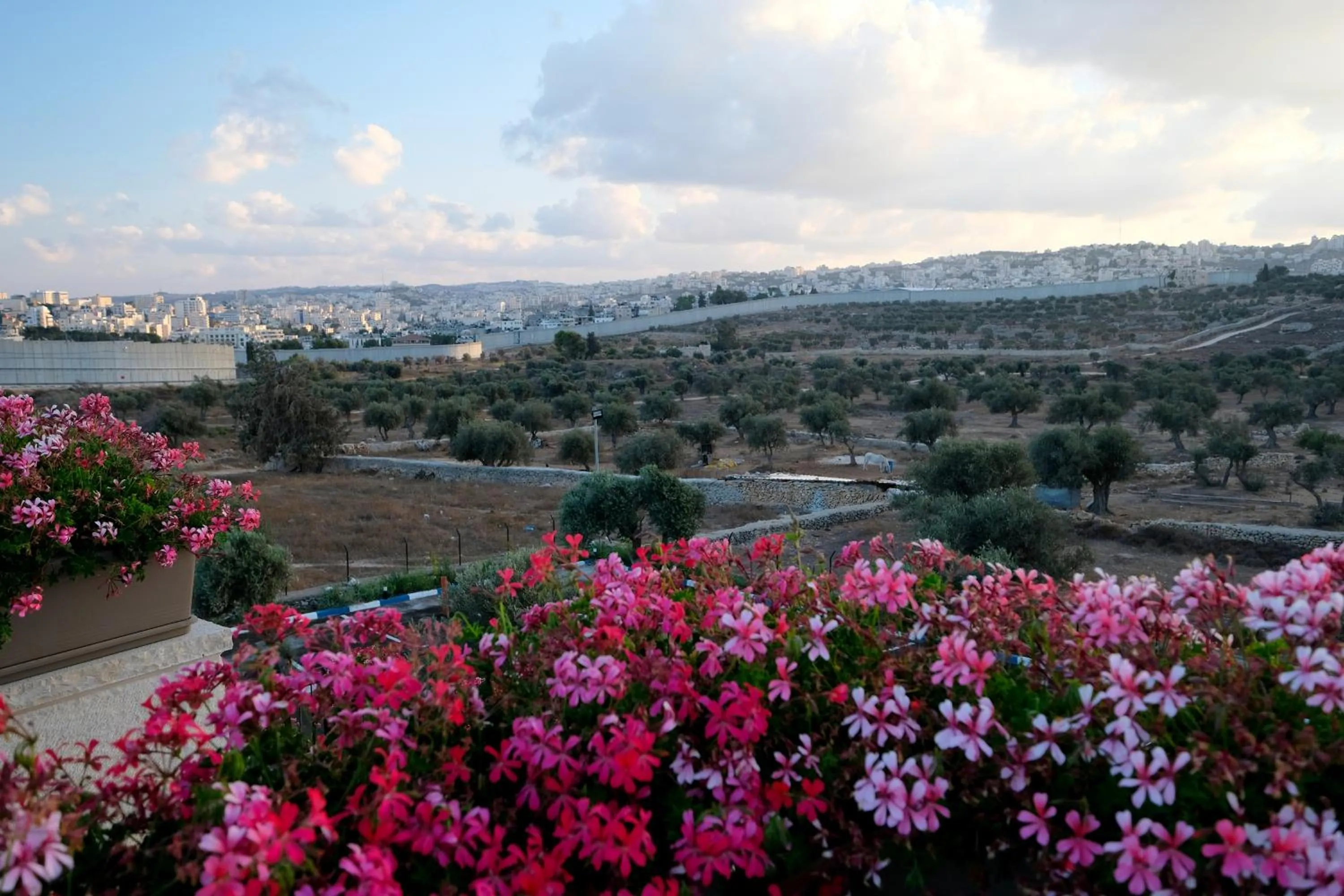 Natural landscape in Tantur Hills Hotel - Jerusalem