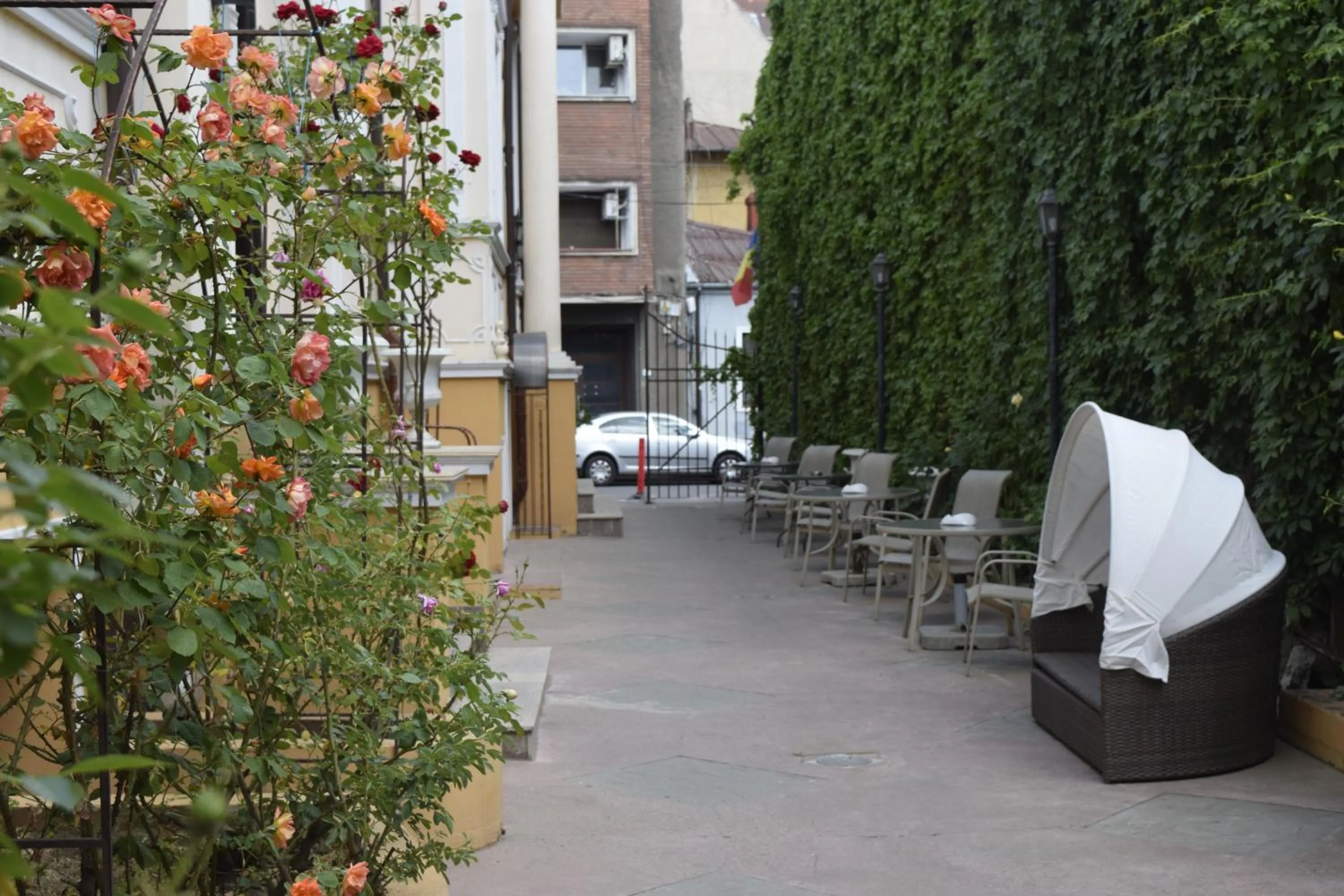 Garden view in Hotel Michelangelo