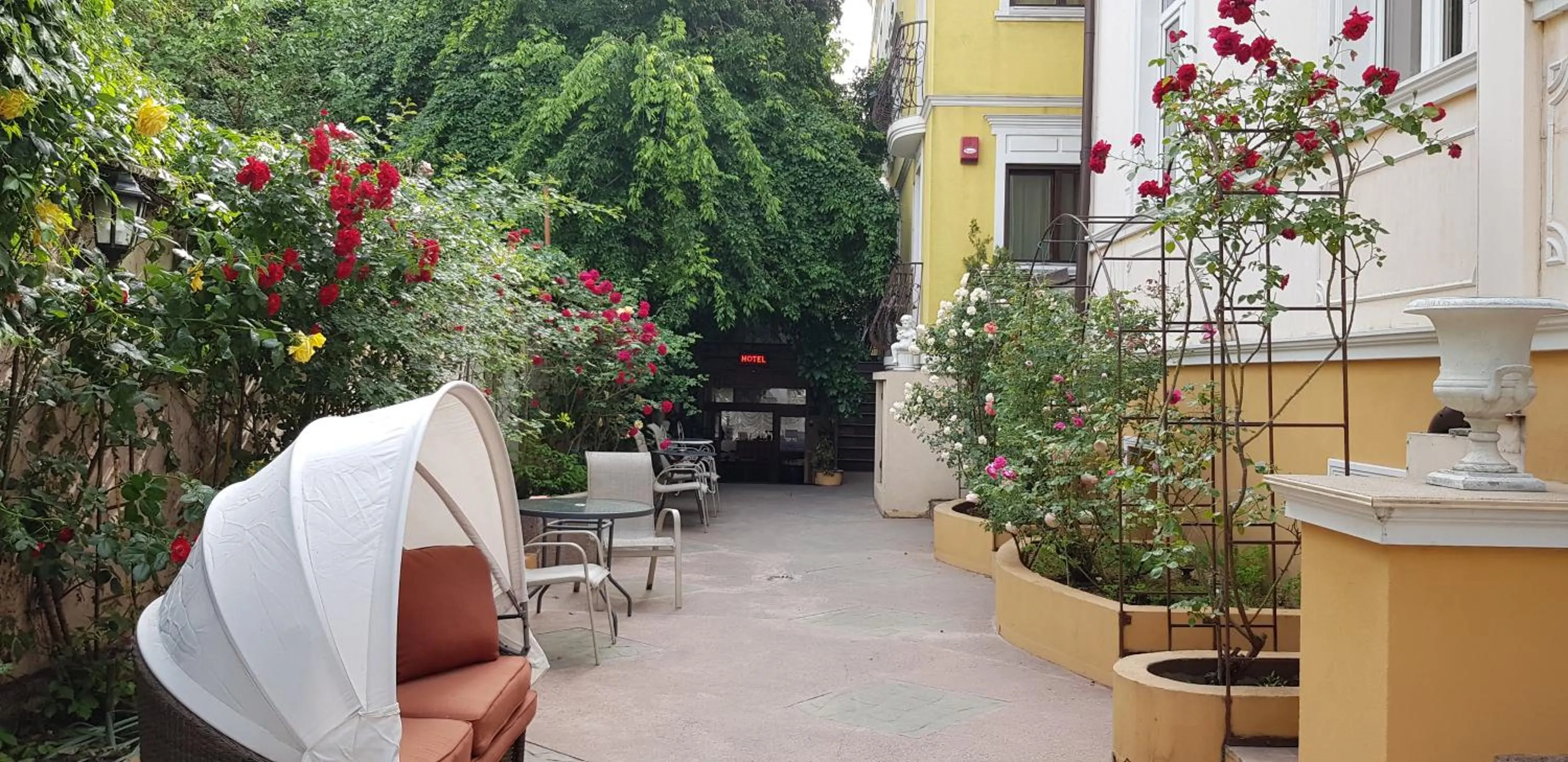 Garden in Hotel Michelangelo