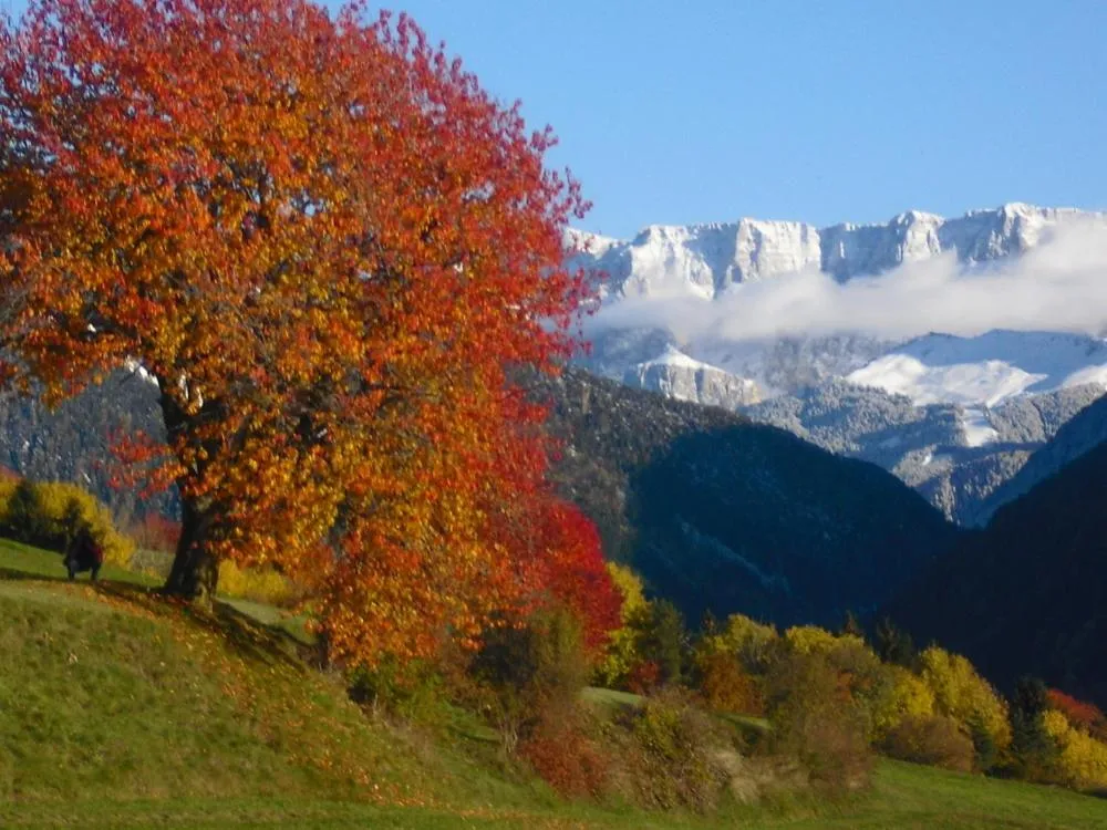Albergo Gasthof zur Krone