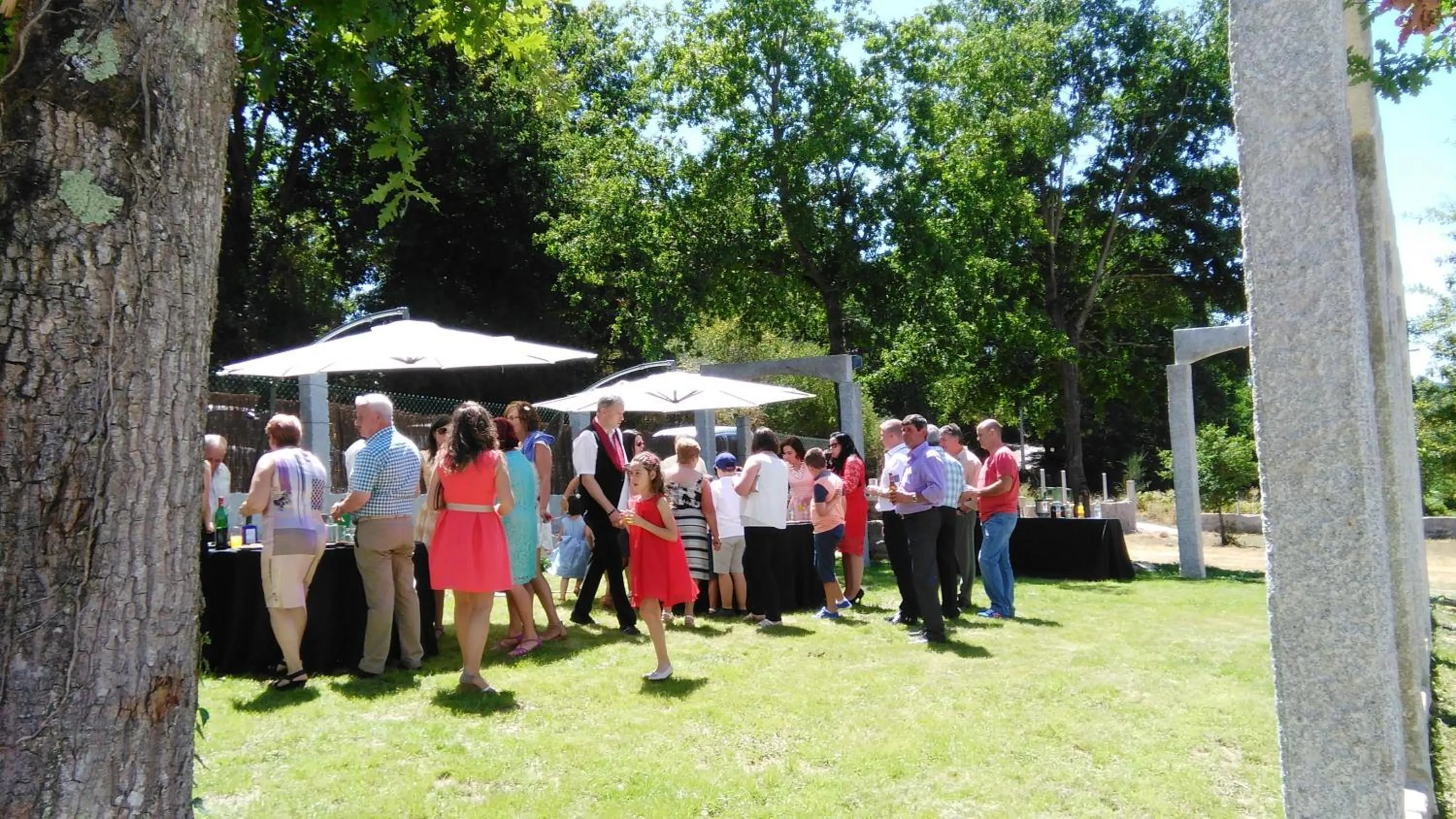 Garden view in Hotel Conde