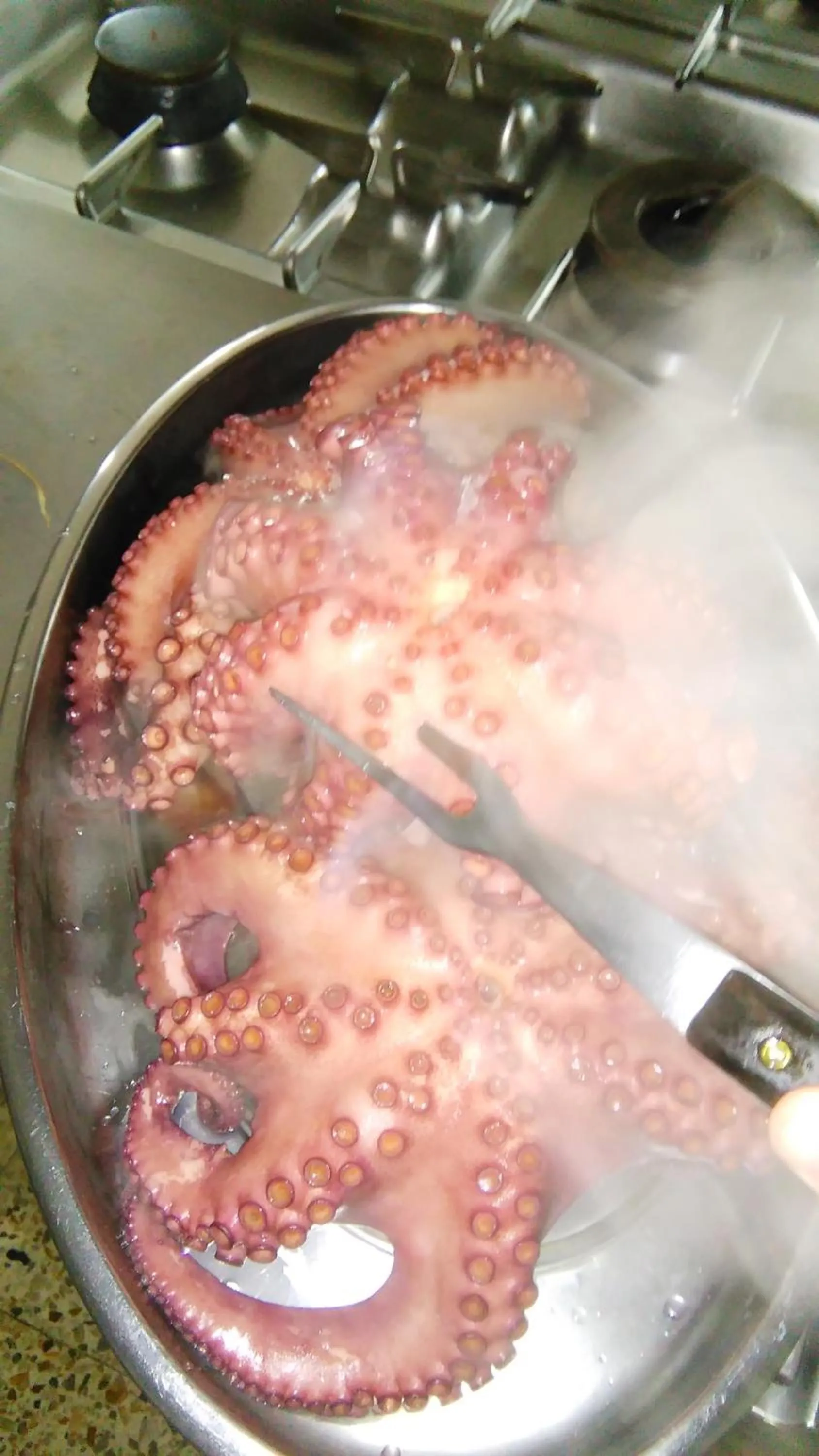 Food close-up in Hotel Conde