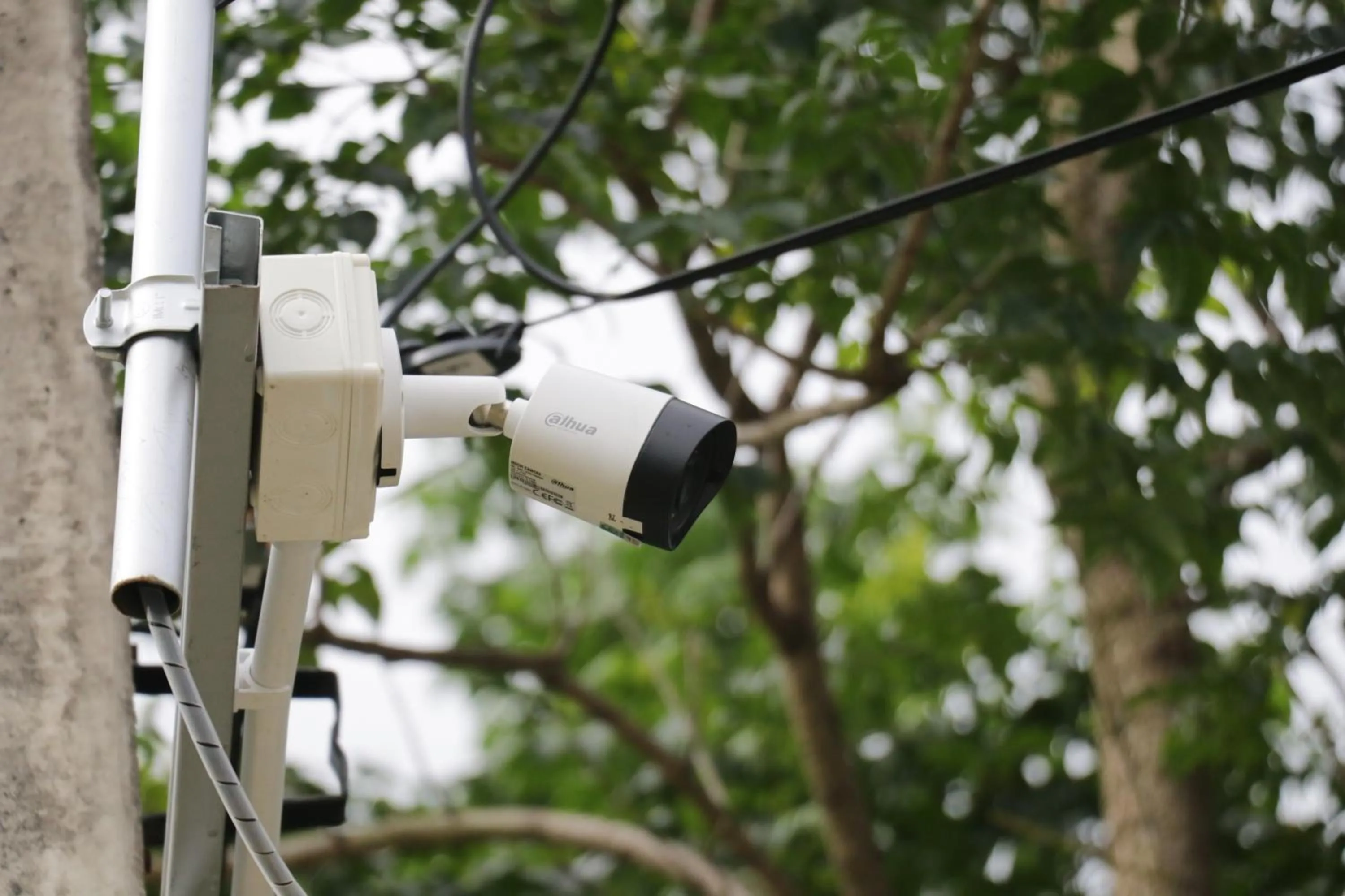 Property building in The Money Inn