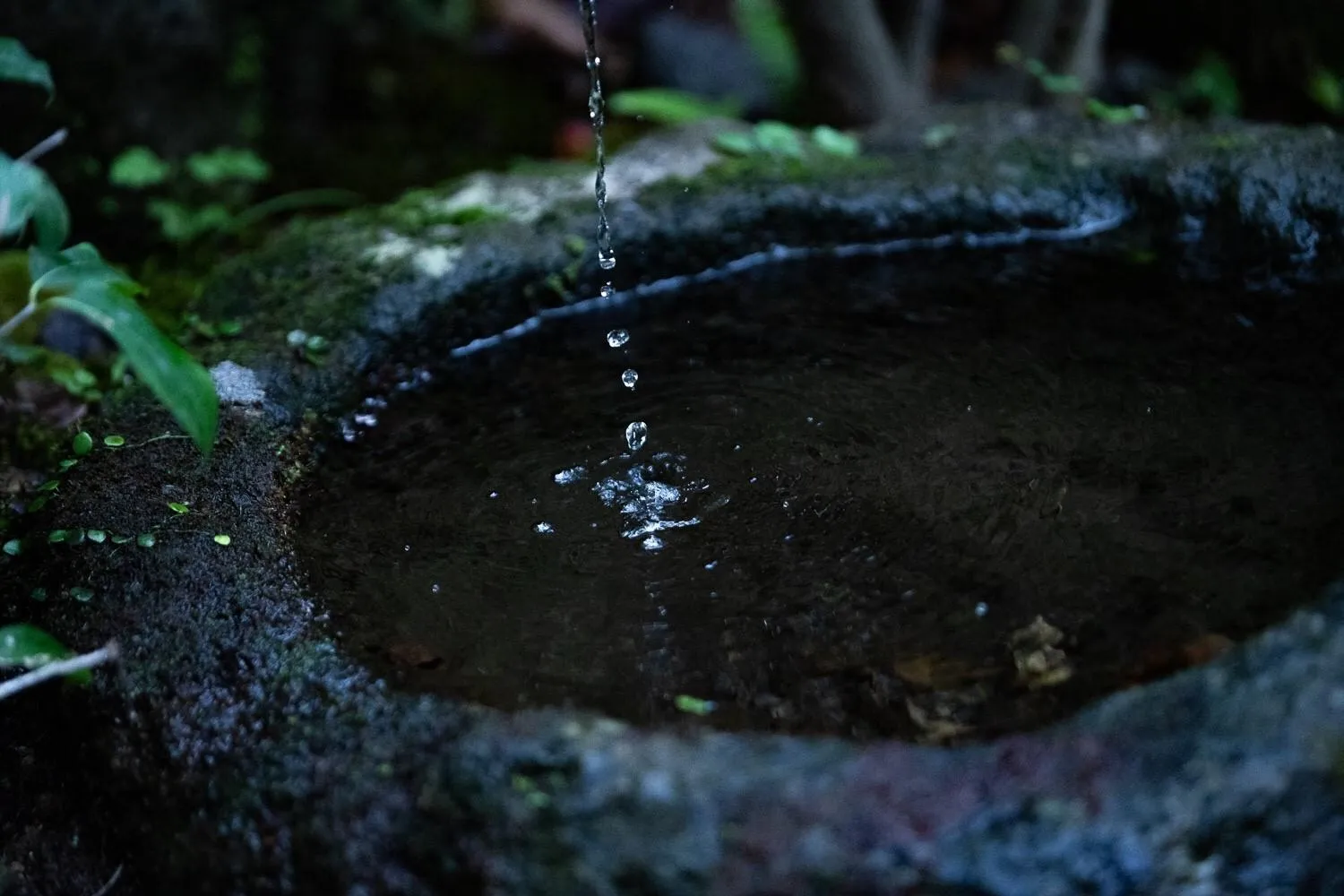 Garden in Taisho Yufu no Hana