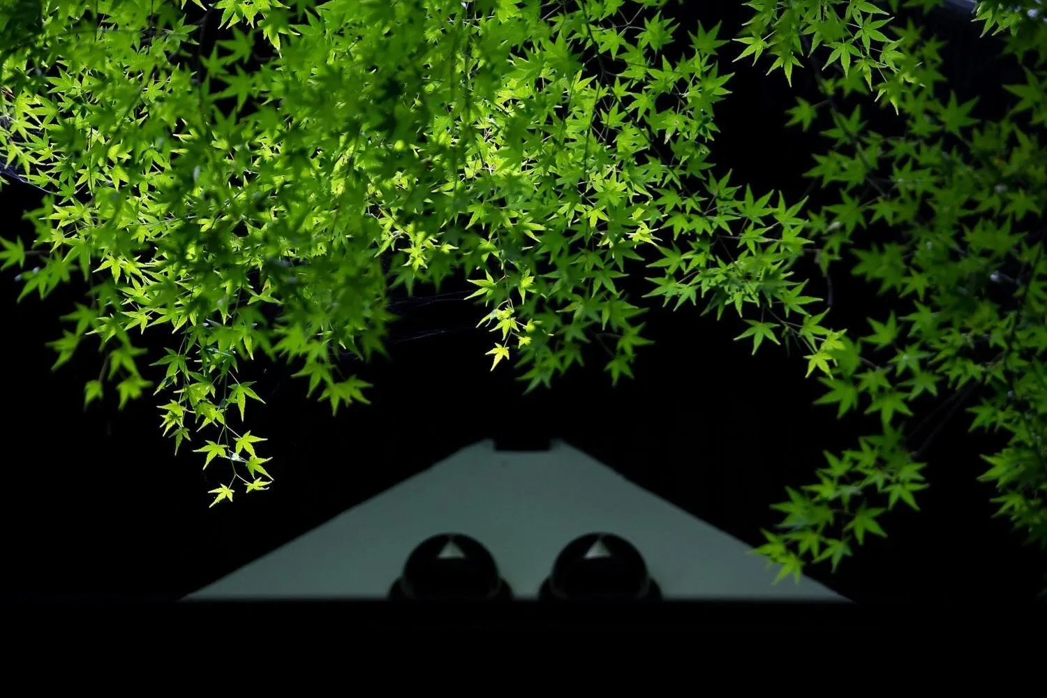 Night in Taisho Yufu no Hana