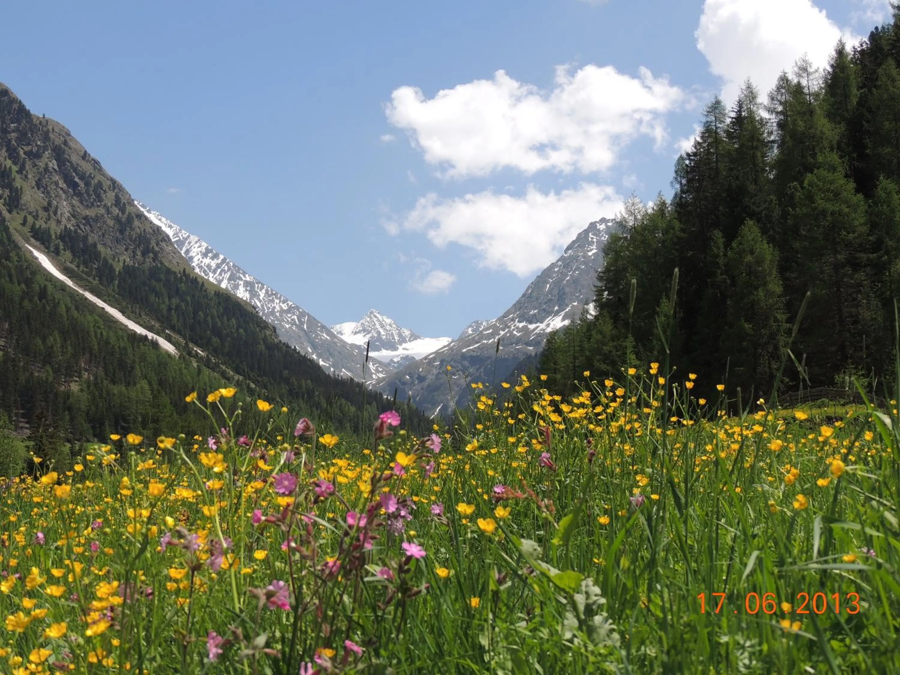 Area and facilities in Pension Winnebach