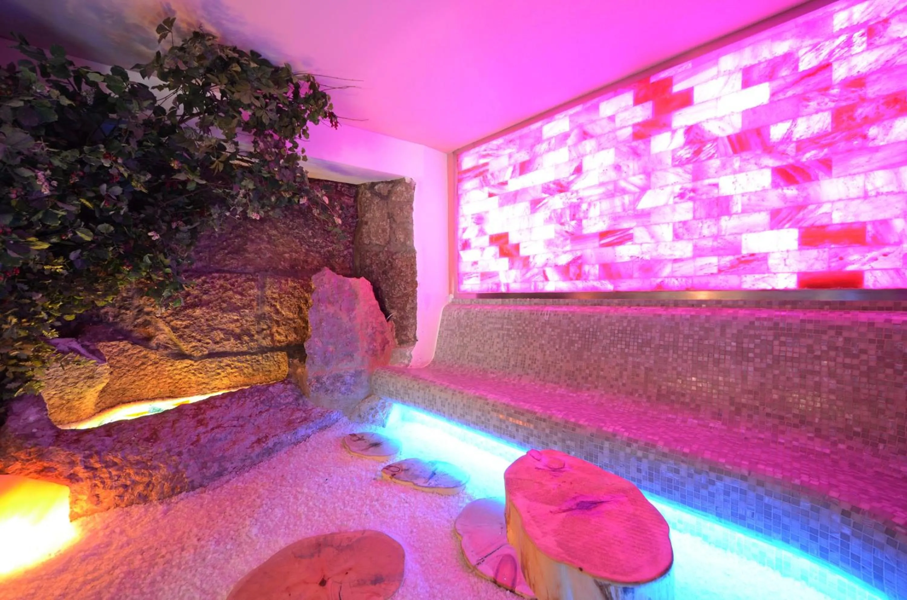 Swimming pool in Hotel La Soldanella