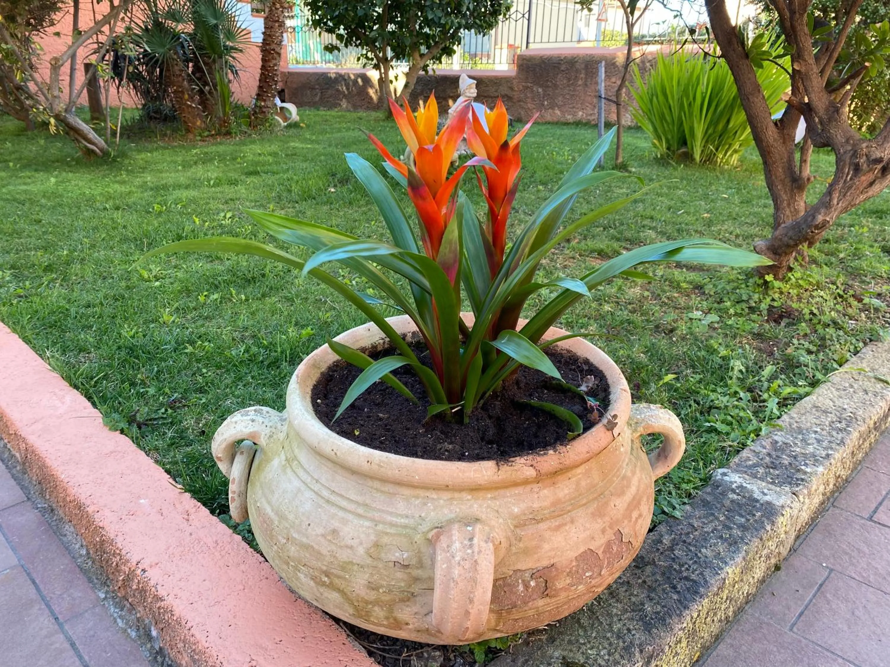 Garden view in Villa Marogna