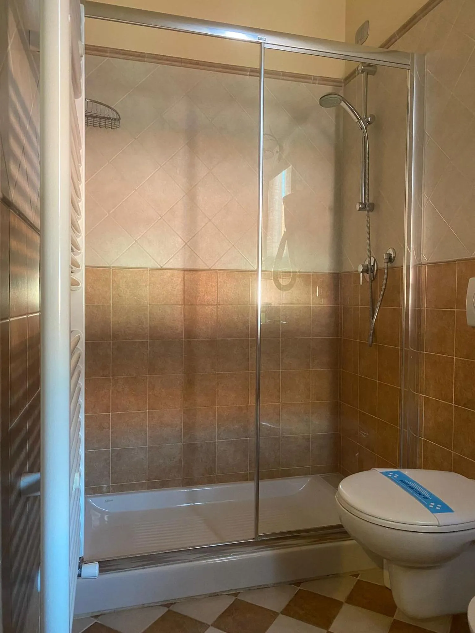 Bathroom in Hotel Virginia