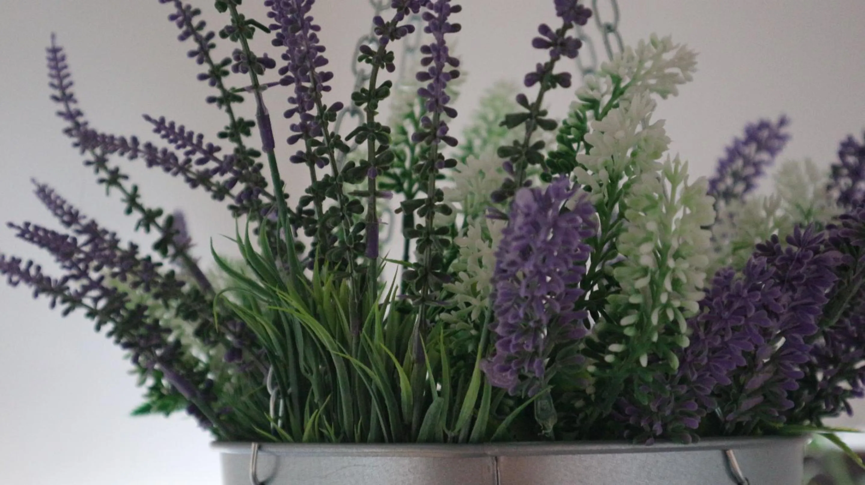 Lobby or reception in Villa Bema