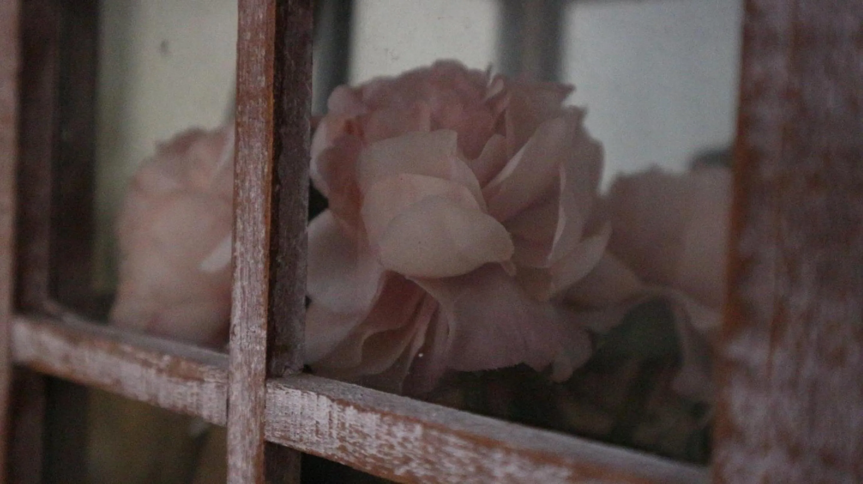 Lobby or reception in Villa Bema