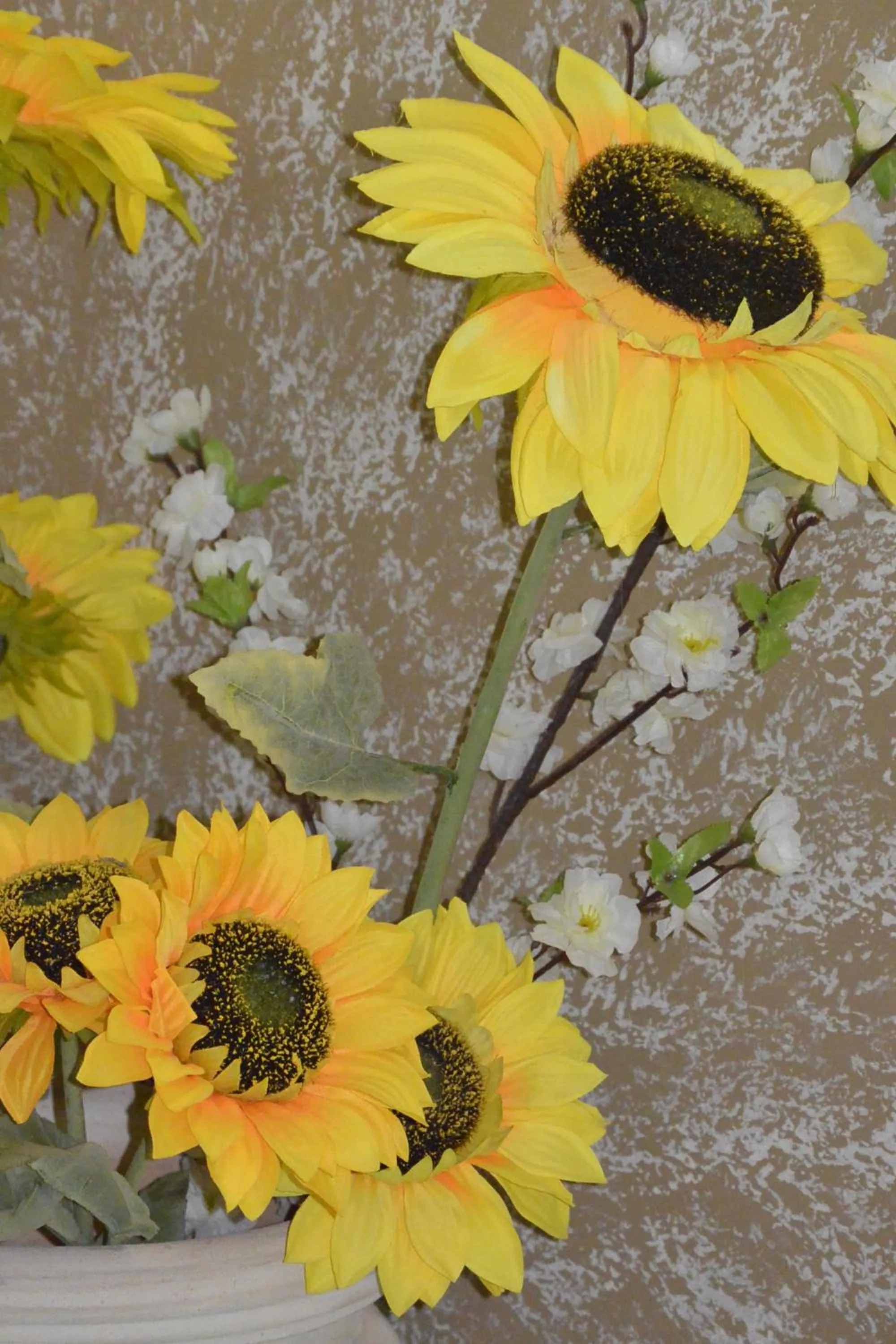 Breakfast in Villa Bema