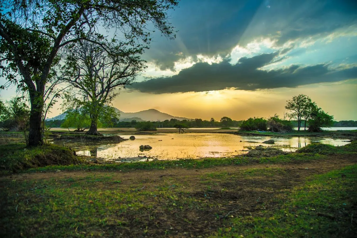 Natural landscape in Wadula Safari - Yala
