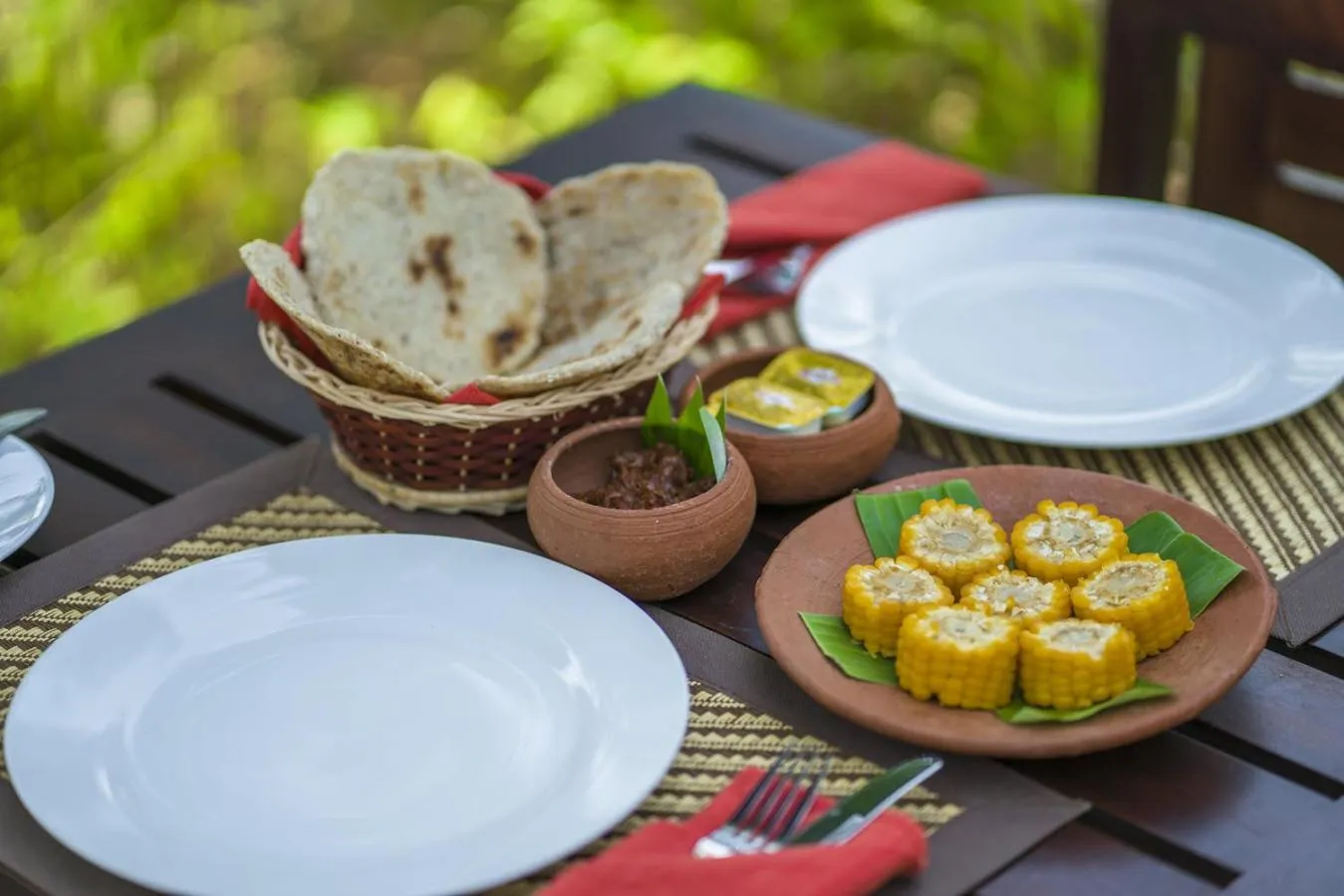 Food close-up in Wadula Safari - Yala