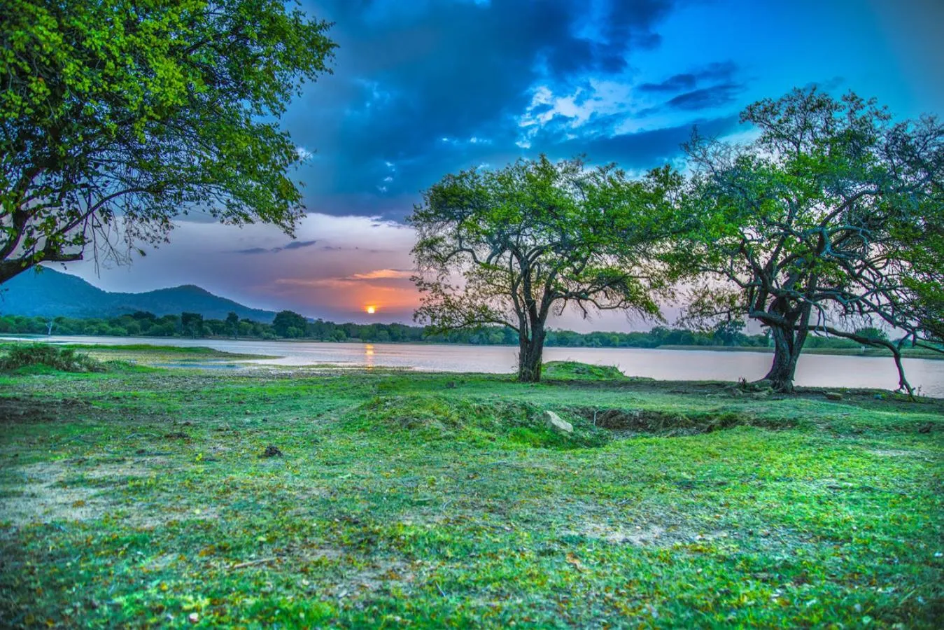 Natural landscape in Wadula Safari - Yala