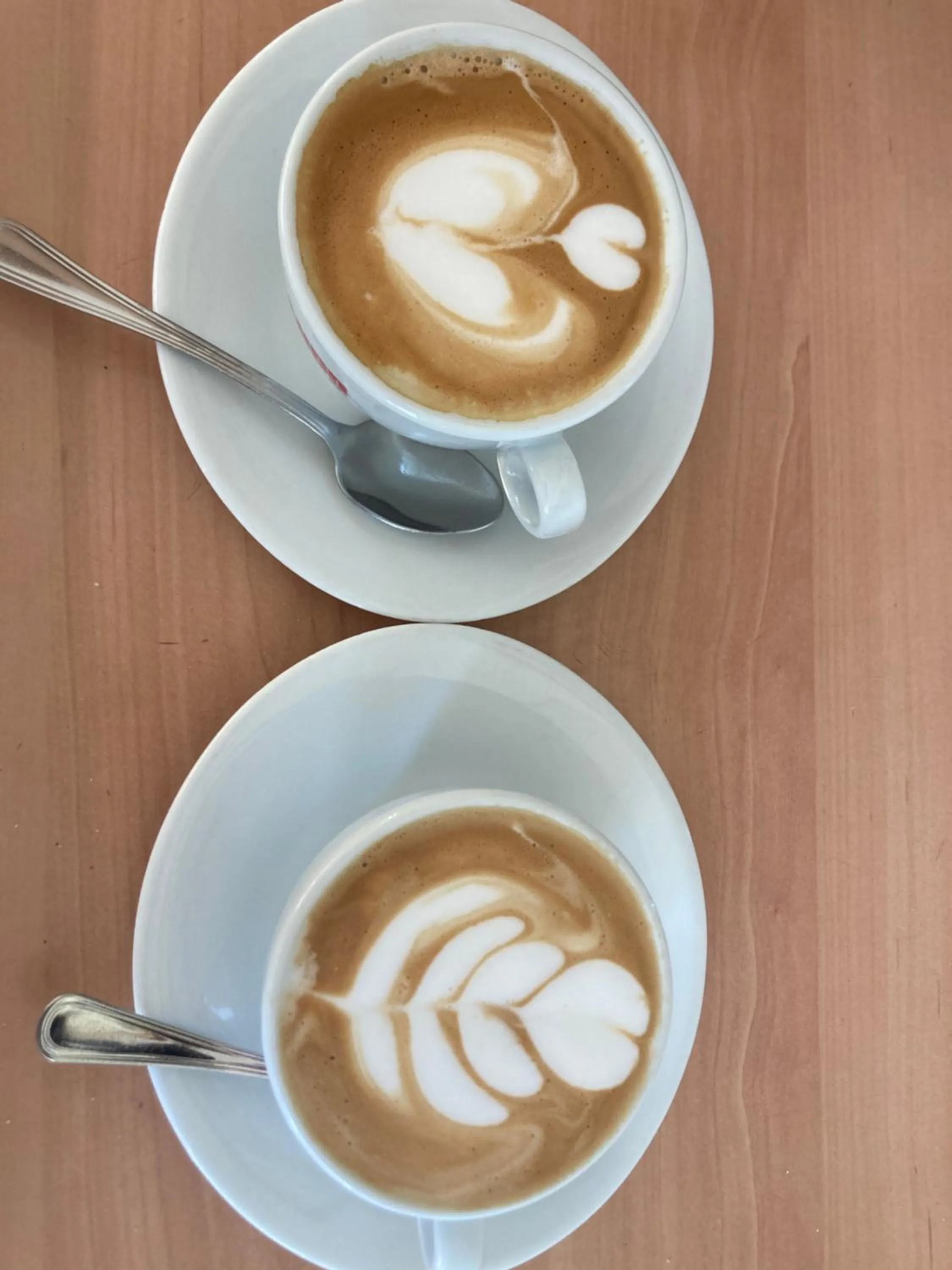 Drinks in Piccolo Hotel Villa Rosa