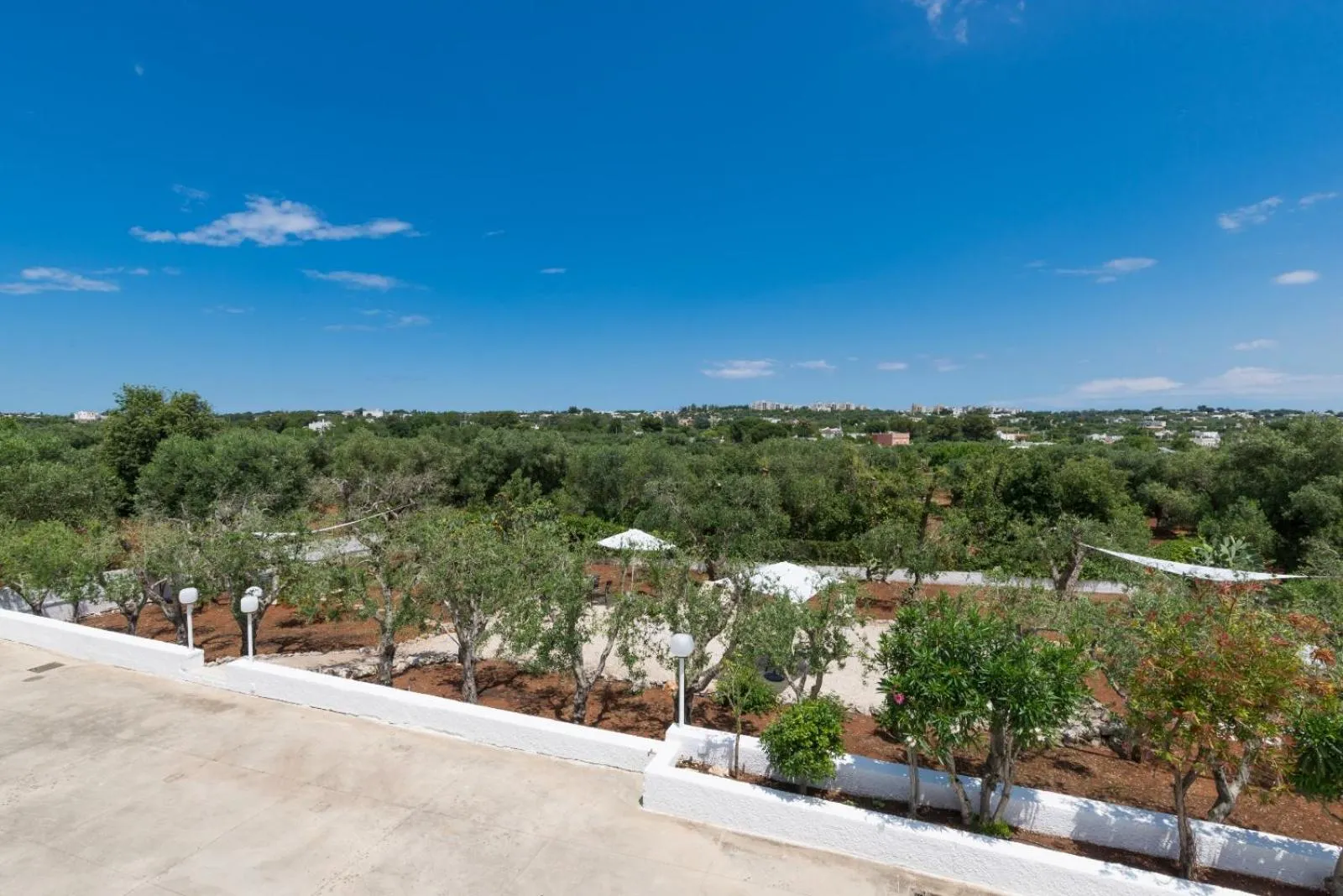 Garden view in Piccolo Hotel Villa Rosa