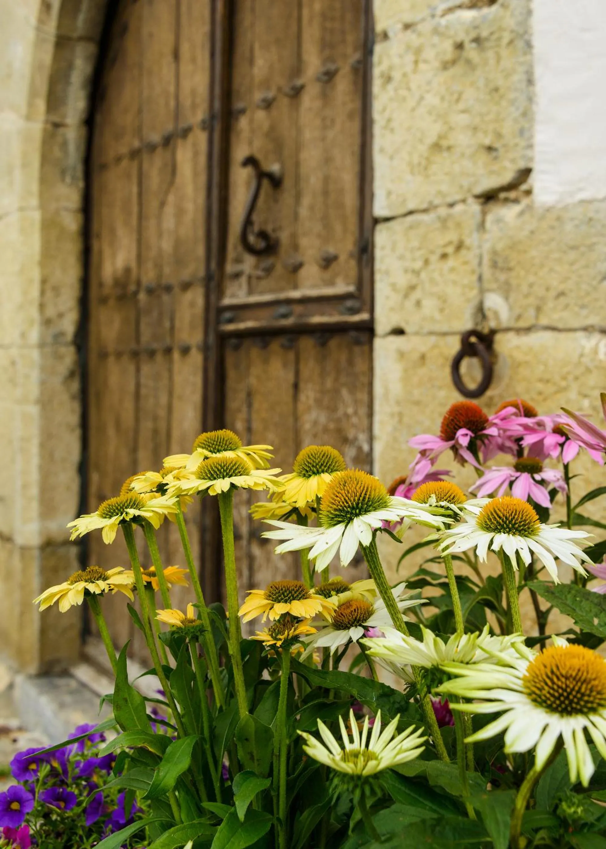 Property building in Hotel Akerreta