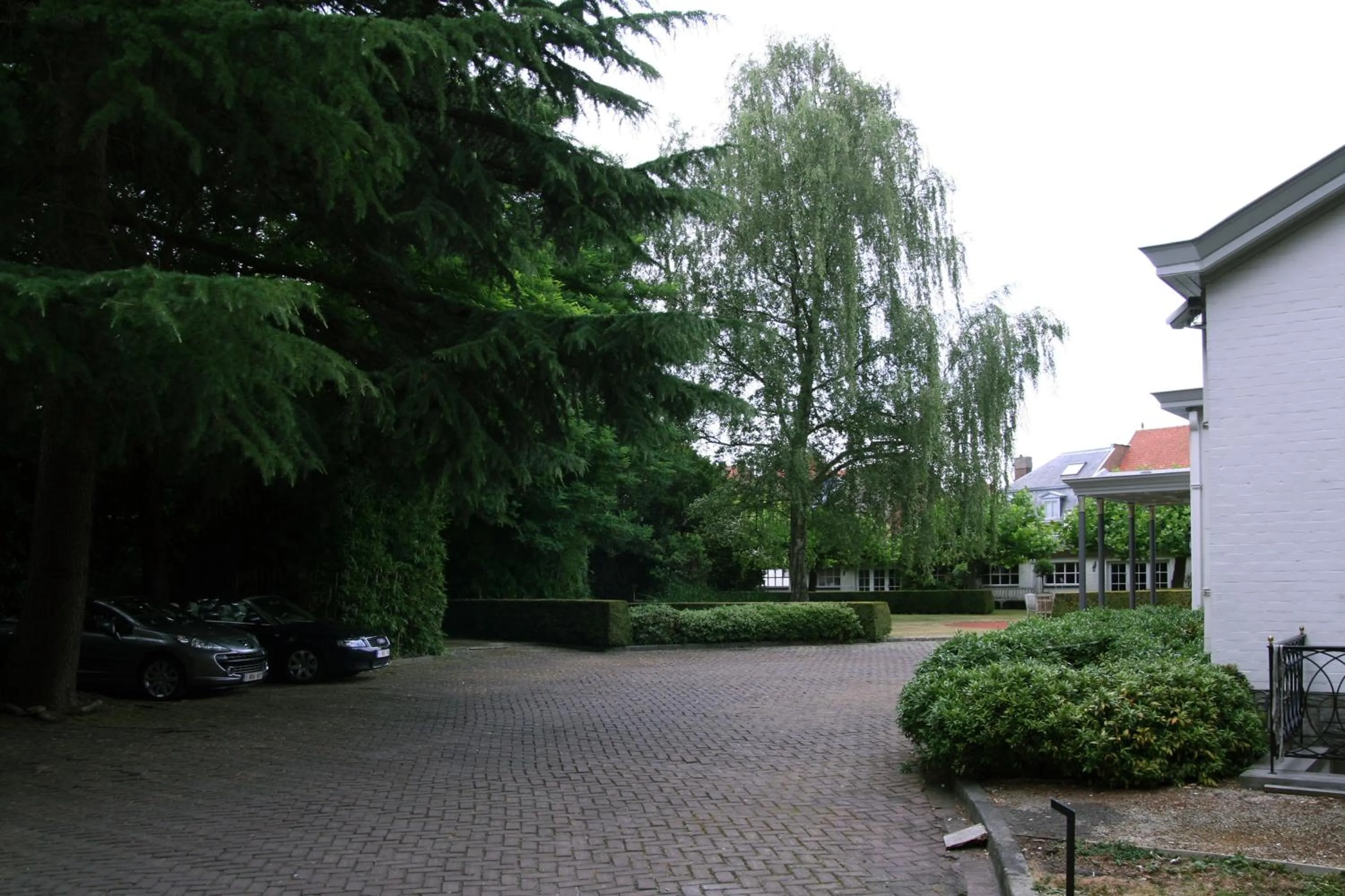 Area and facilities in Villa Pura Vida