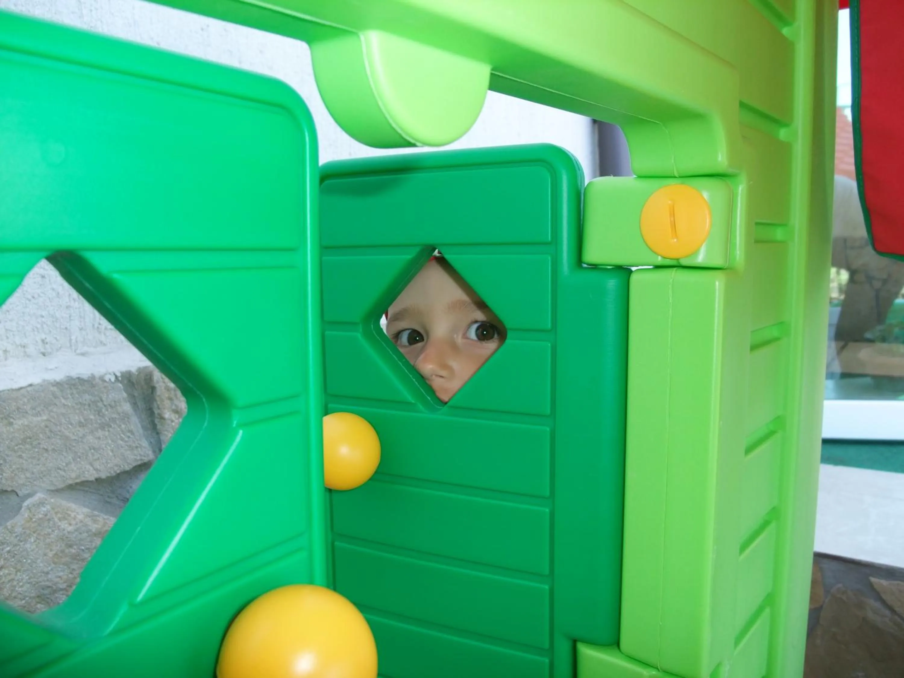 Garden in Hotel Lozite