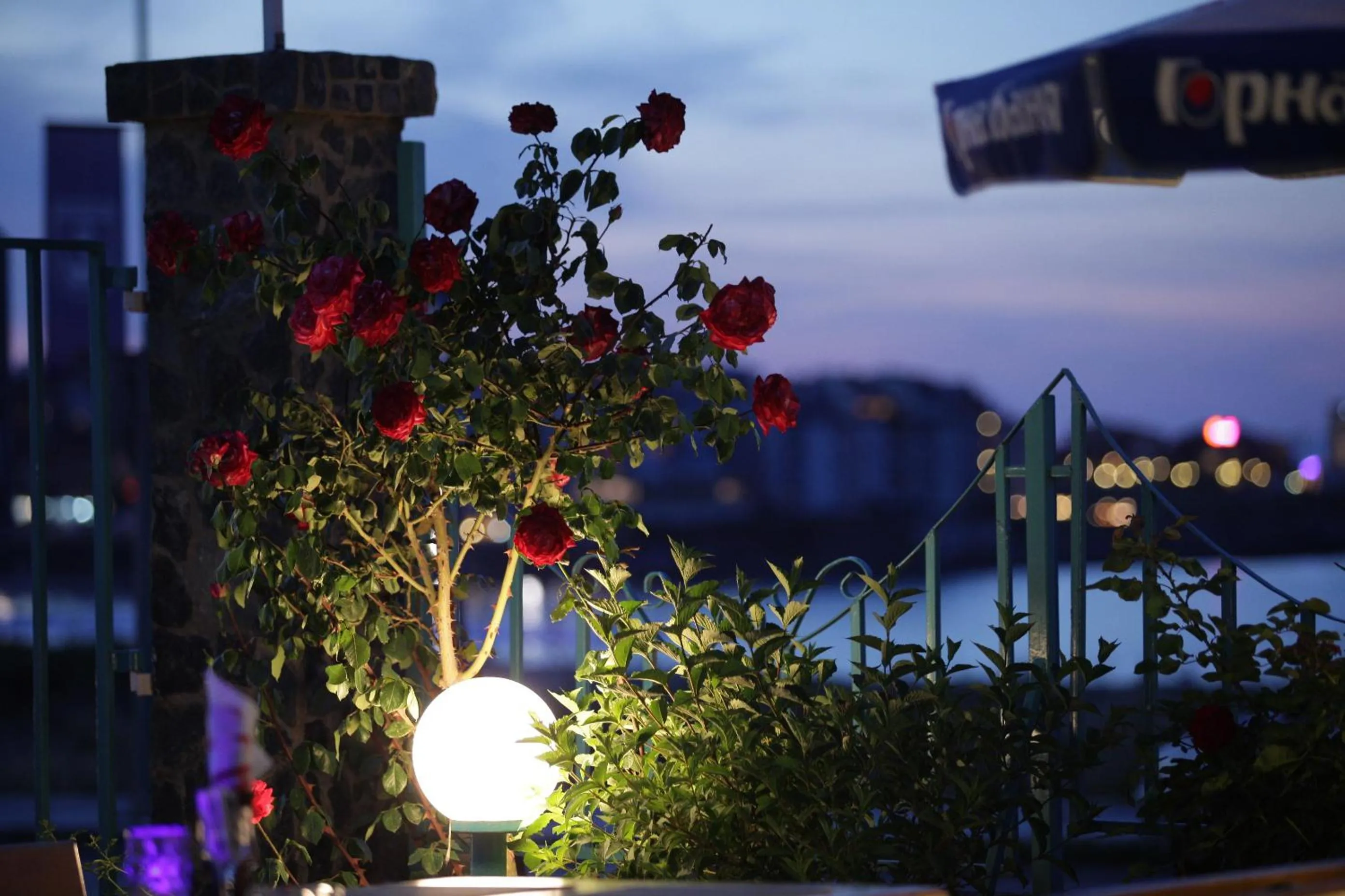 Night in Hotel Lozite