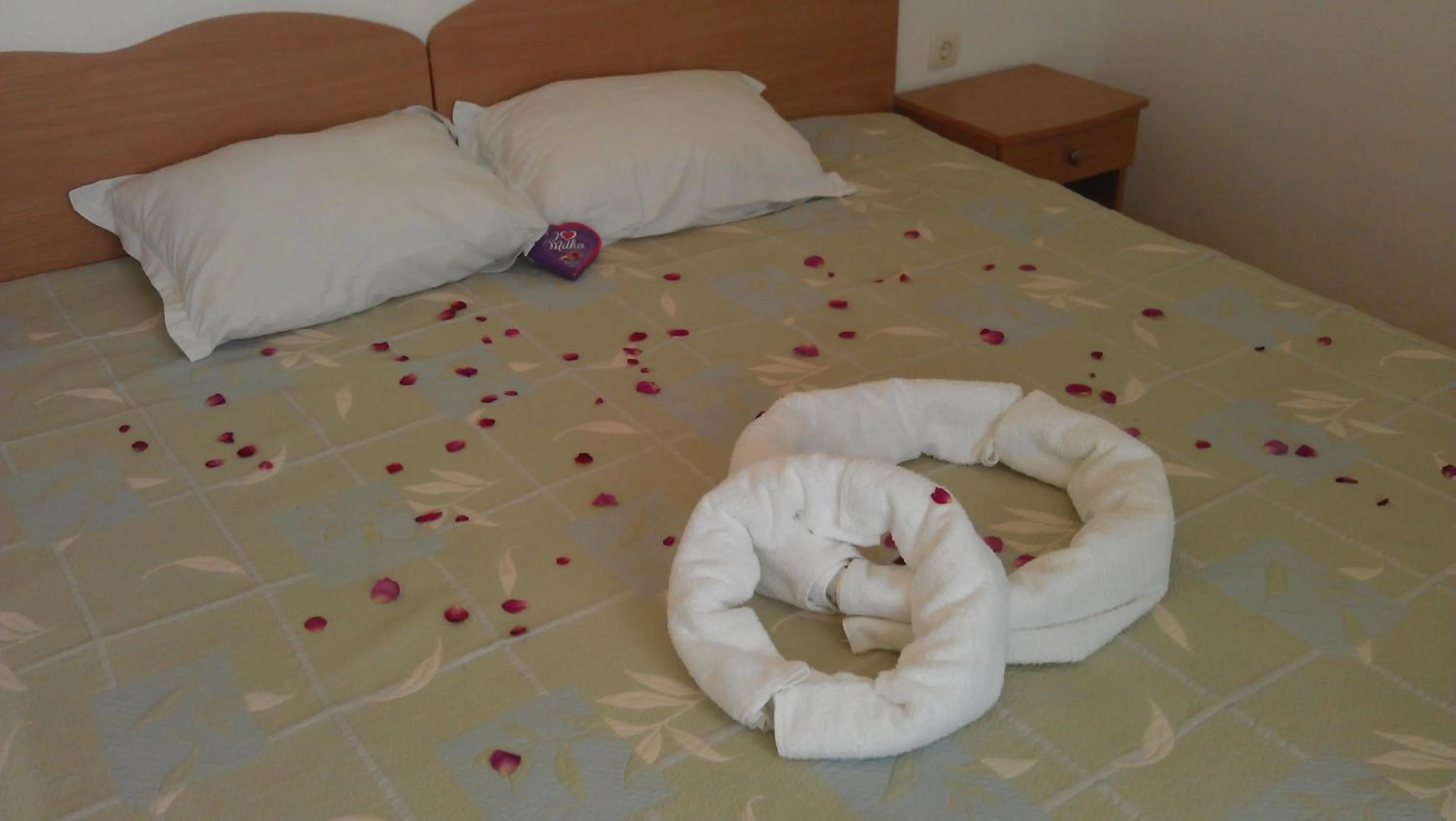 Decorative detail in Hotel Lozite