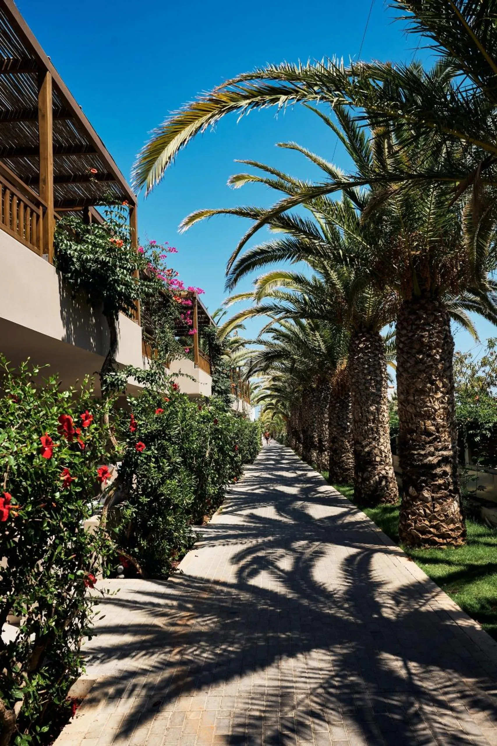 Garden view in Stella Village Seaside Hotel