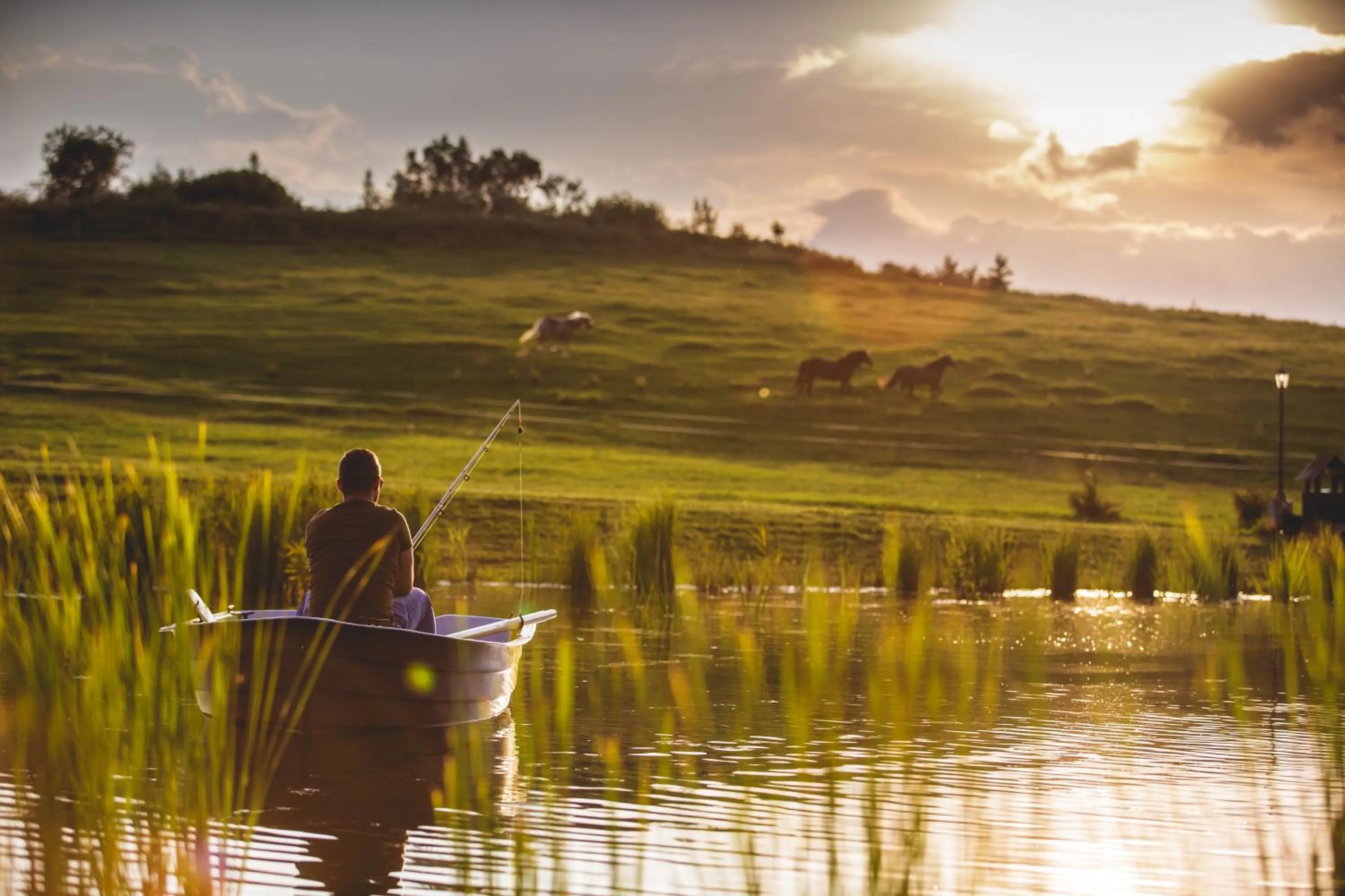Lake view in Oravský Háj Garden Hotel & Resort
