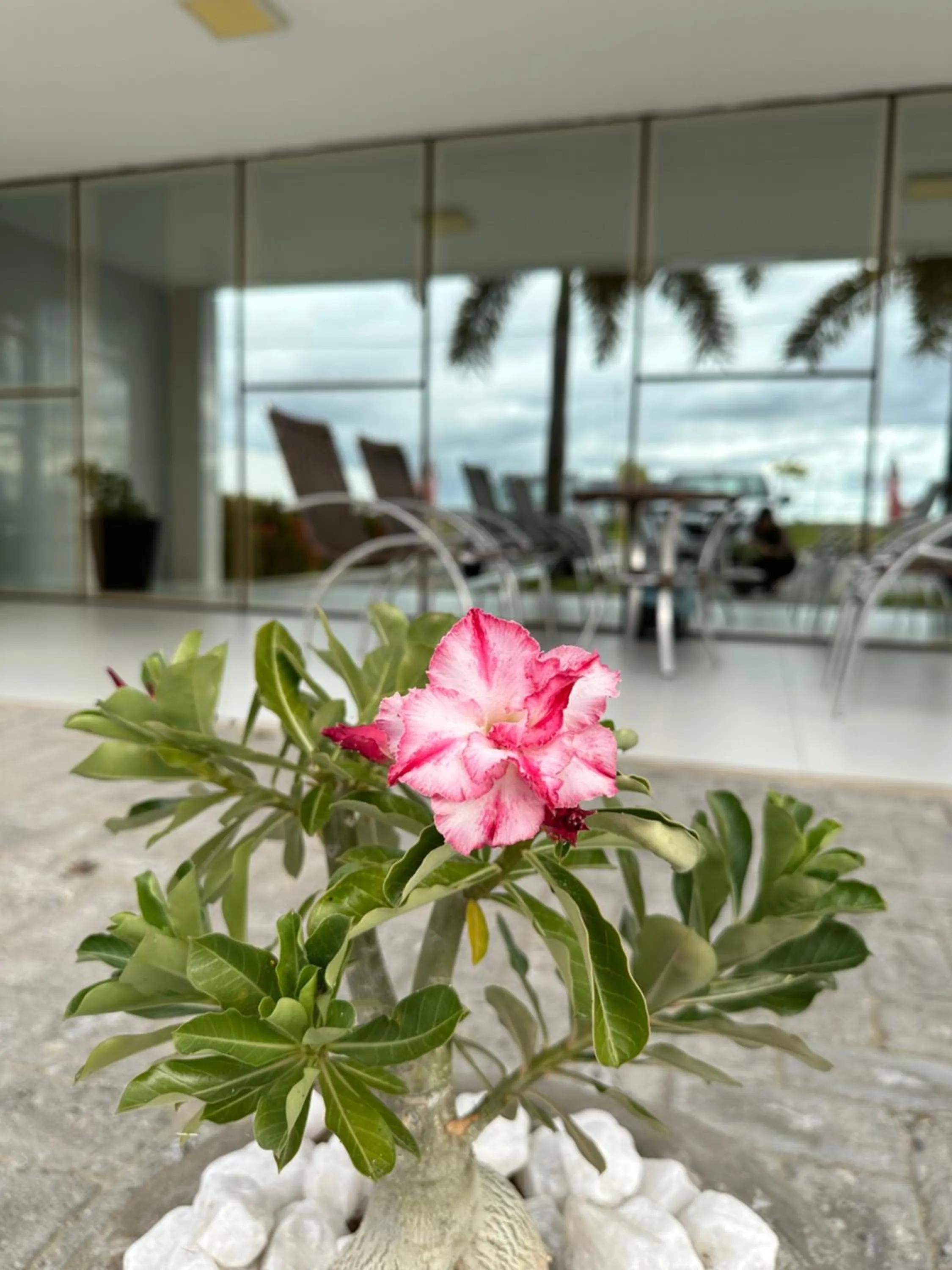 Hotel Oásis de Patos