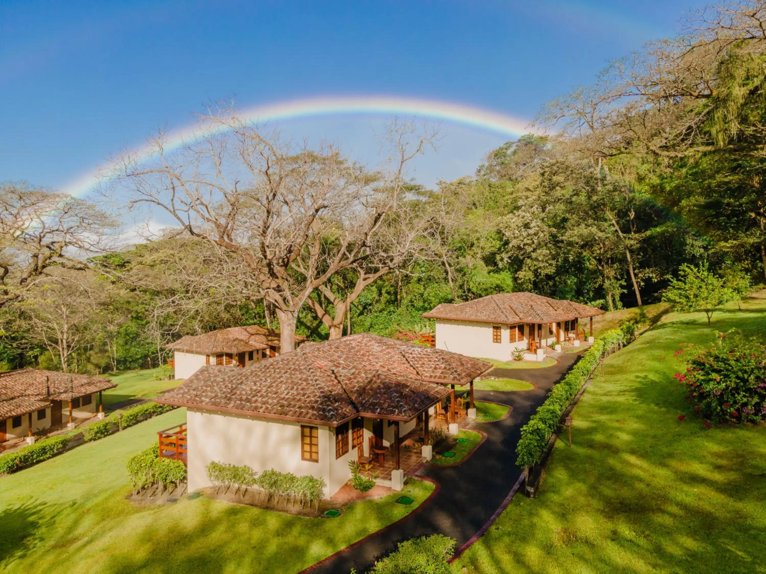 Garden view in Borinquen Thermal Resort