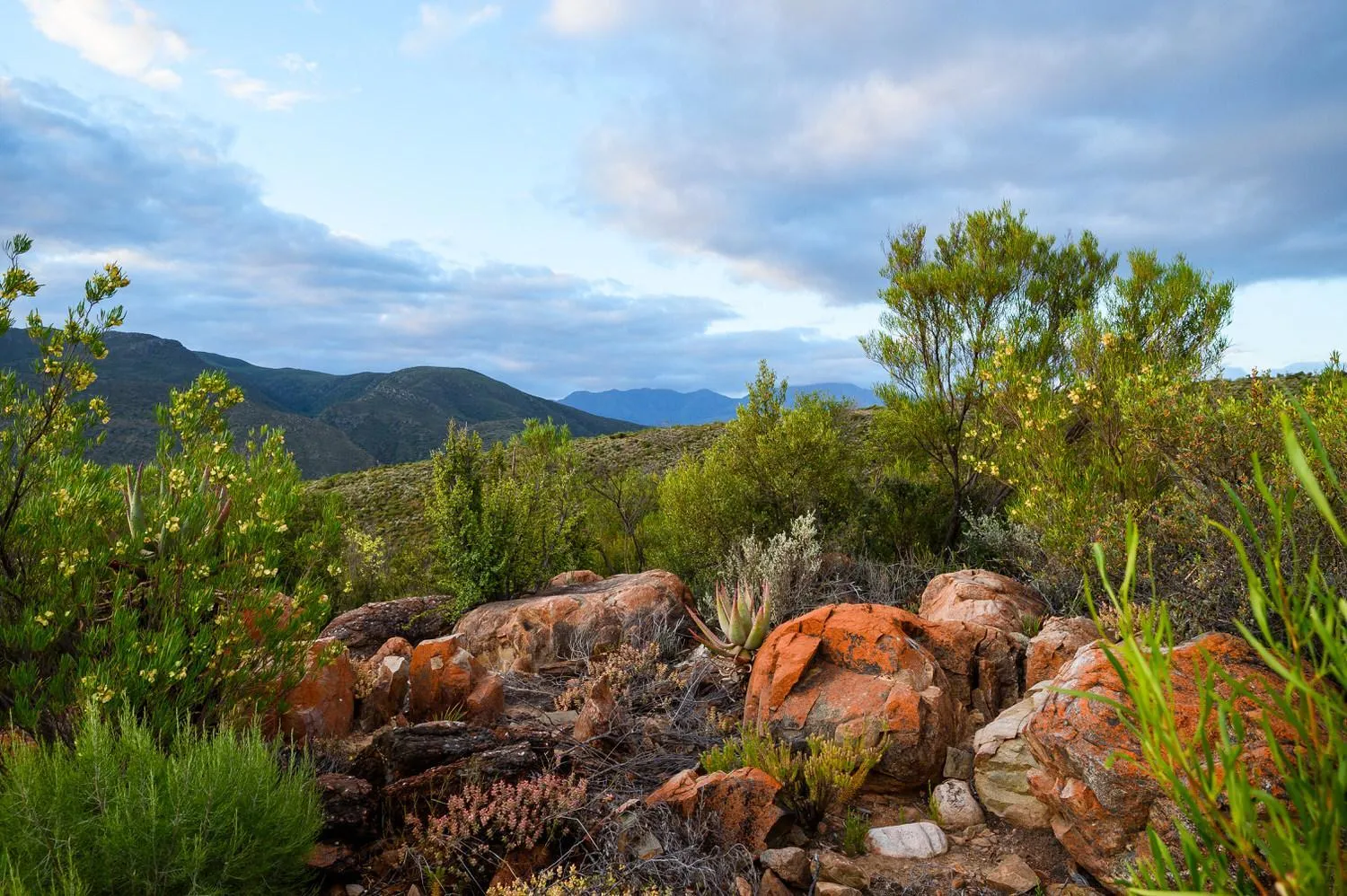 Hiking in Le Petit Karoo