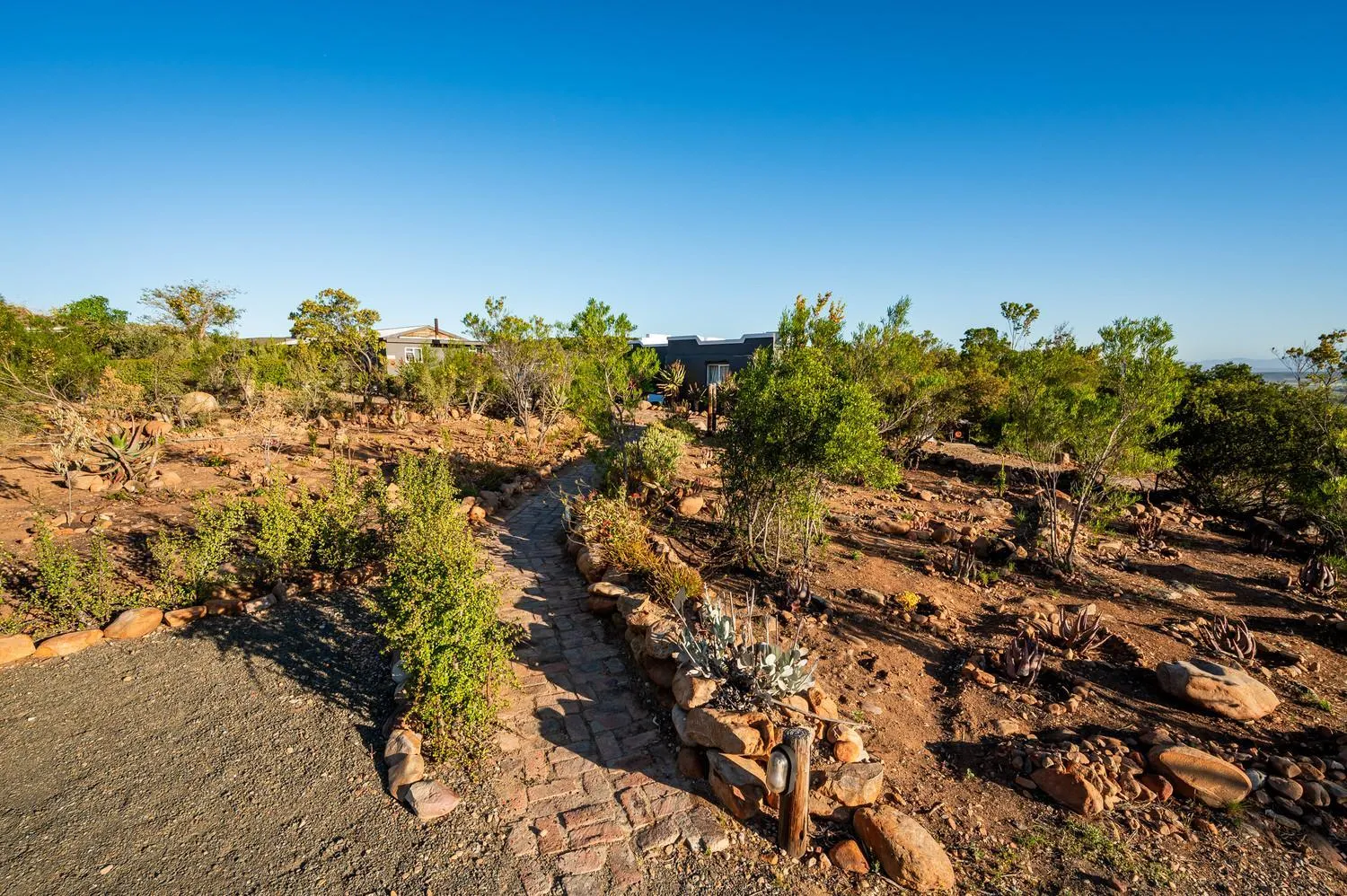 Garden in Le Petit Karoo