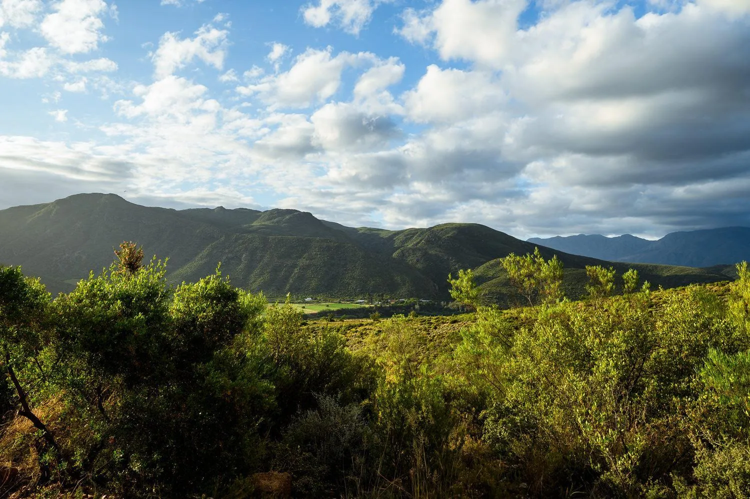 Mountain view in Le Petit Karoo