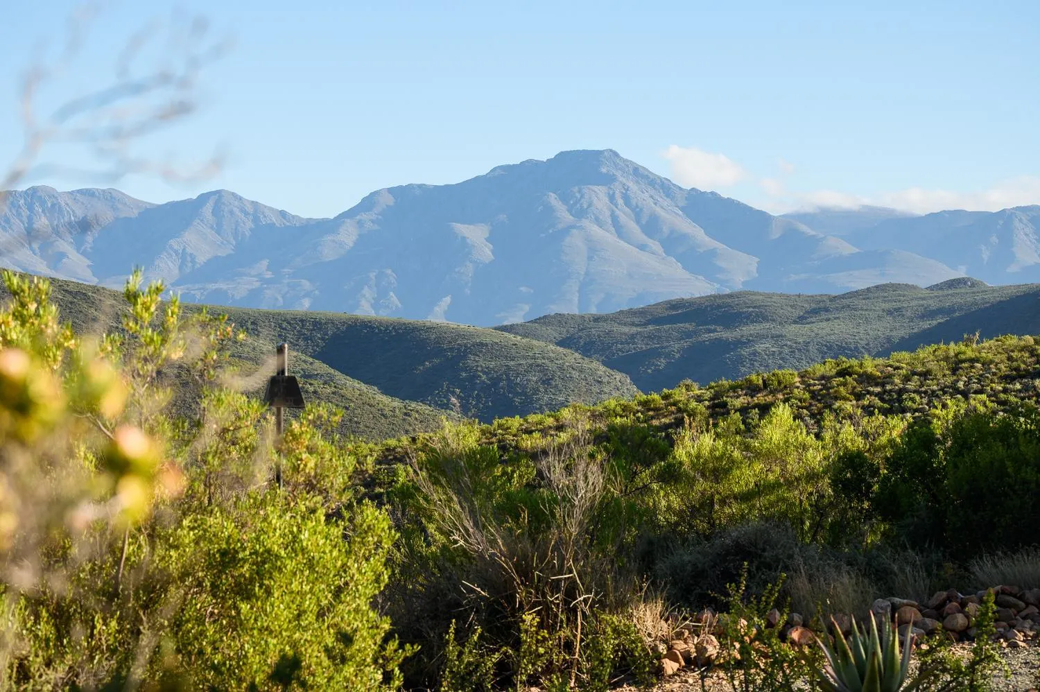 Swimming pool in Le Petit Karoo