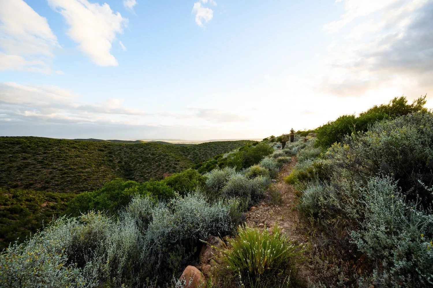 Hiking in Le Petit Karoo