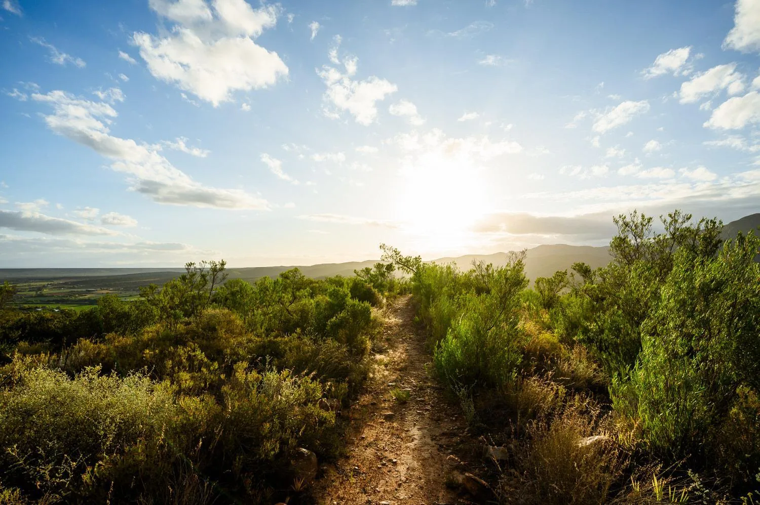 Hiking in Le Petit Karoo