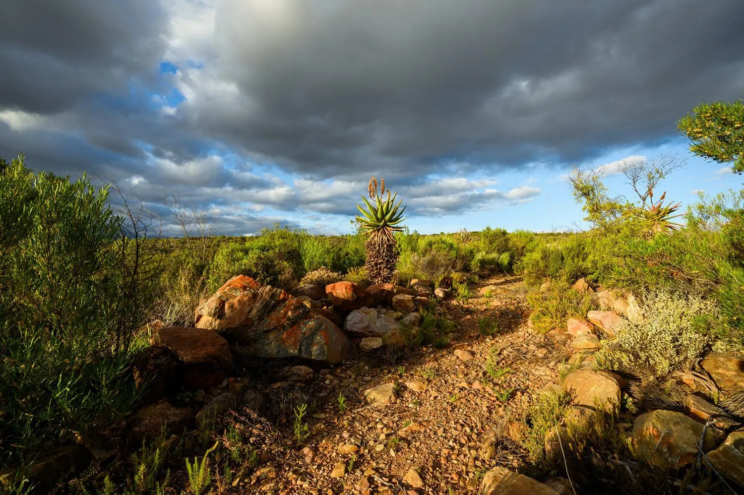 Hiking in Le Petit Karoo